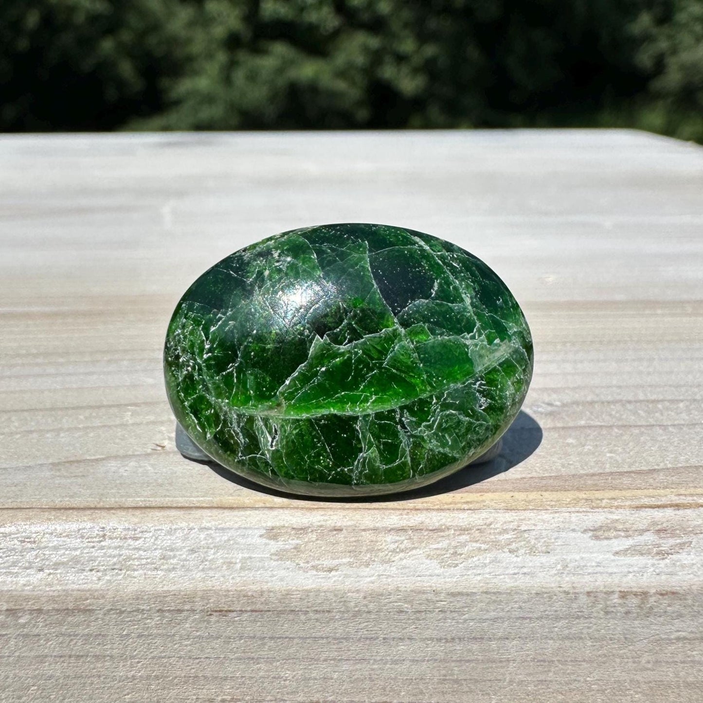 Stunning Chrome Diopside Mini Palm Stone - #1