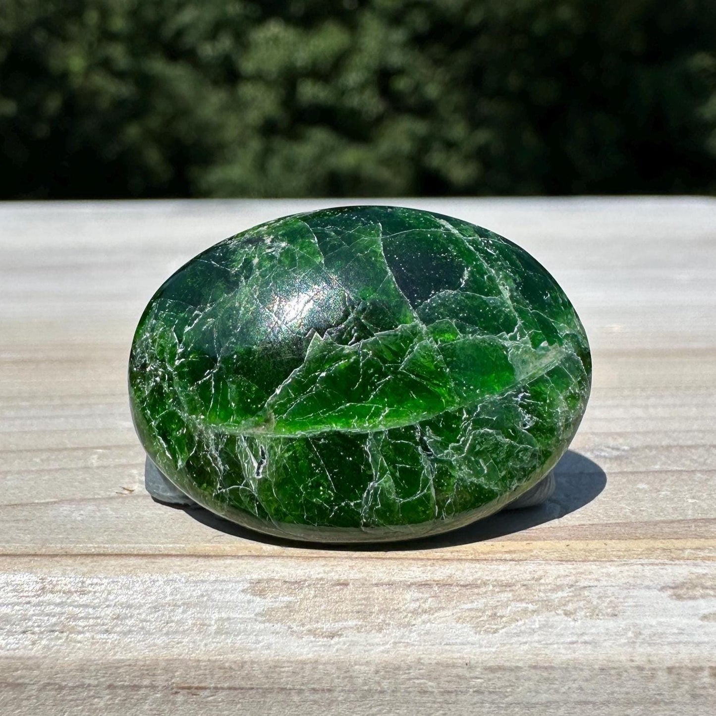 Stunning Chrome Diopside Mini Palm Stone - #1