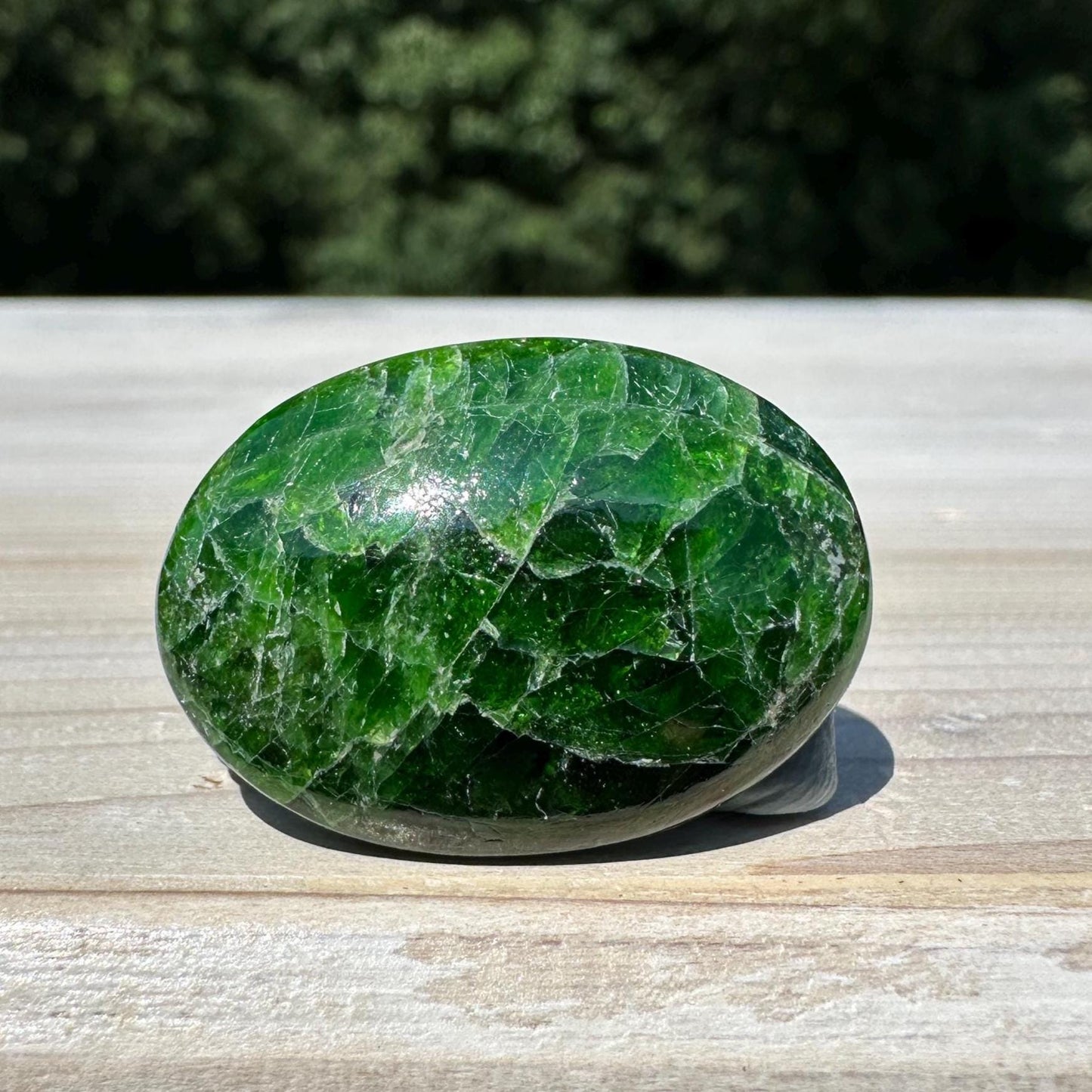 Stunning Chrome Diopside Mini Palm Stone - #1