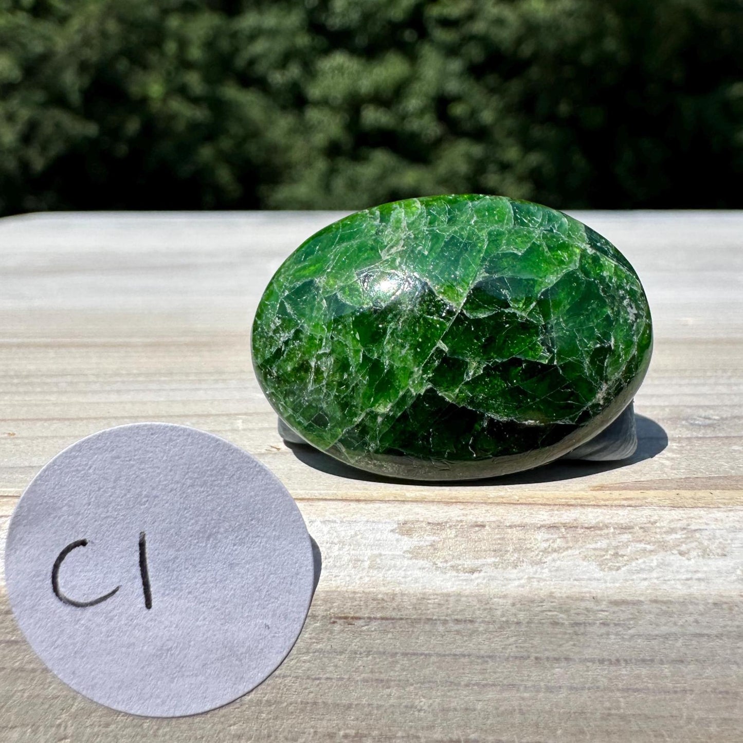 Stunning Chrome Diopside Mini Palm Stone - #1