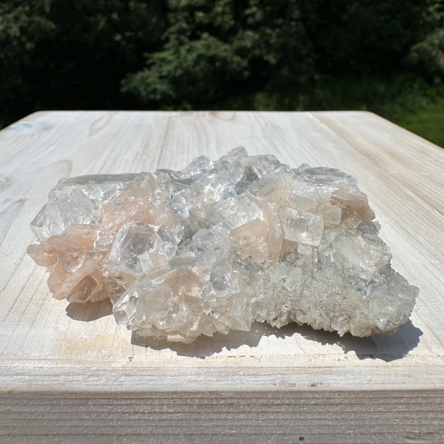 Pretty Apophyllite with Stilbite and Chalcedony Cluster