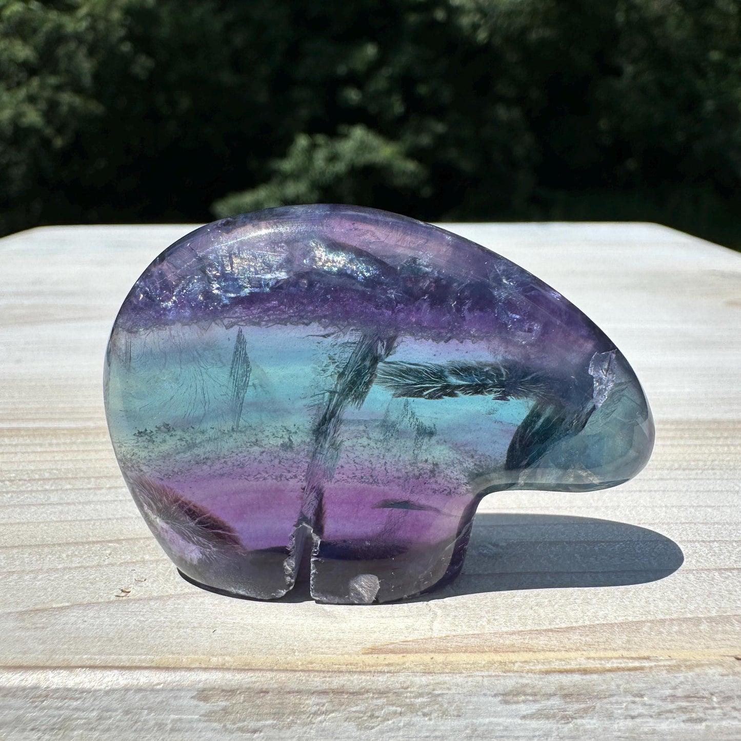 Gorgeous Mexican Fluorite Bear Carving