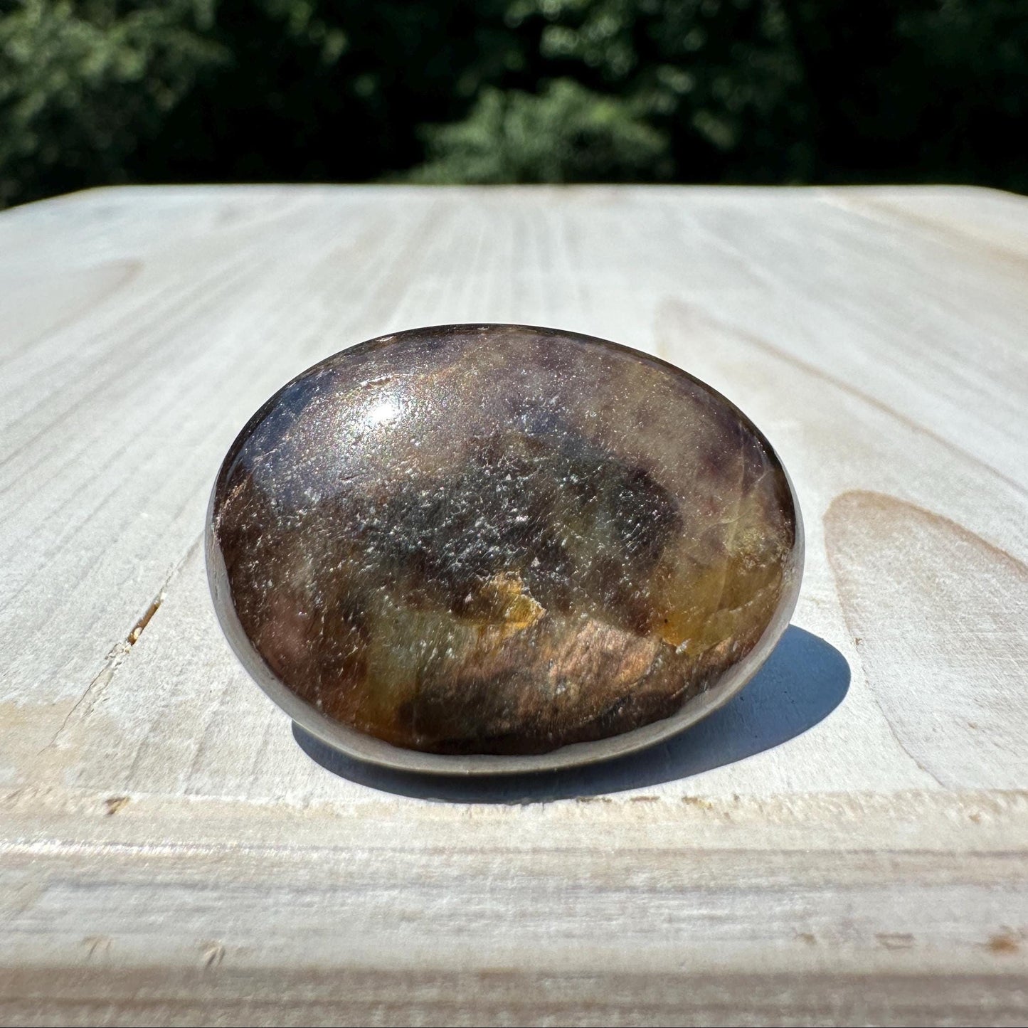 Bronze Sapphire Mini Polished Palm Stone - #2
