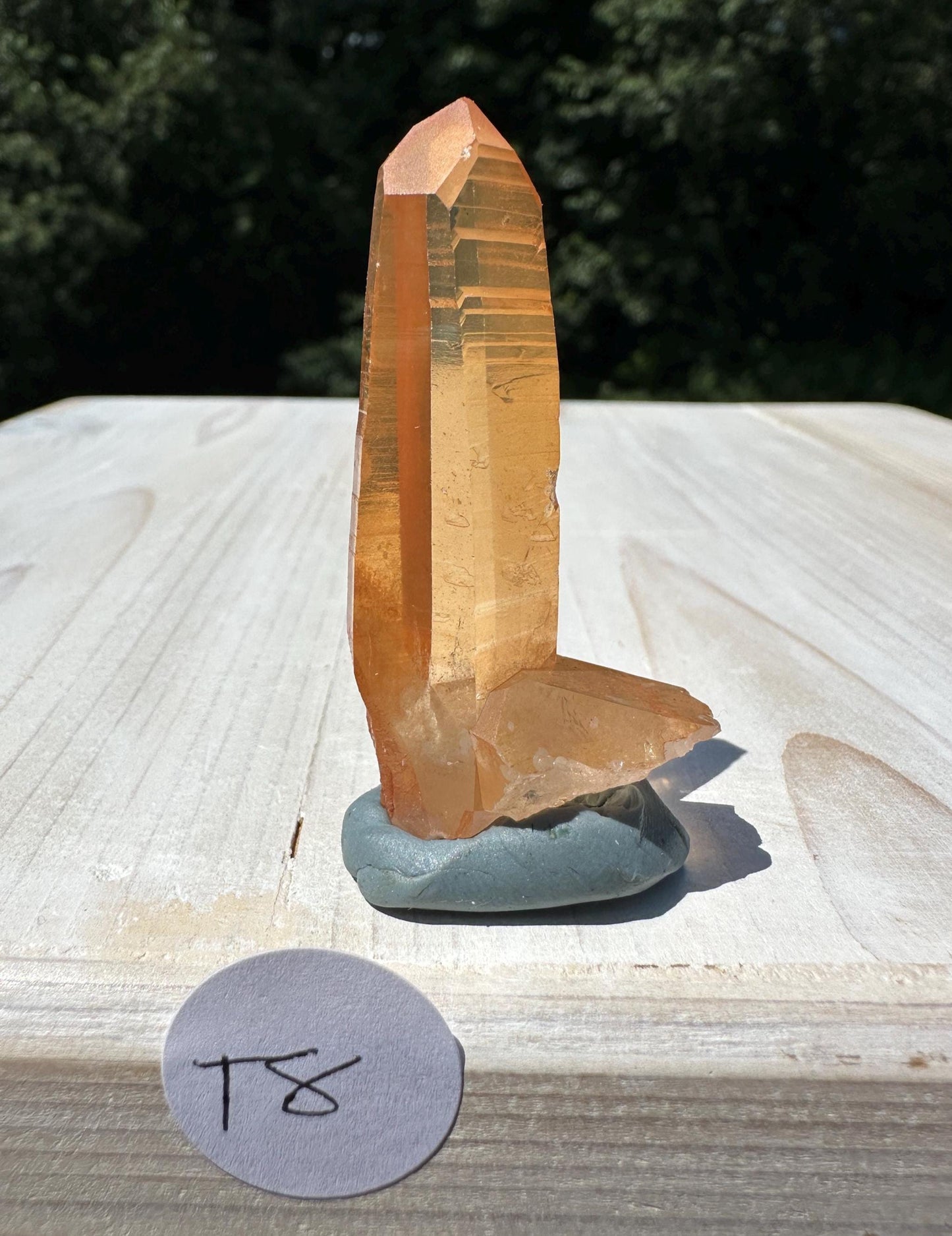 Stunning Rare Tangerine Lemurian Point - #8