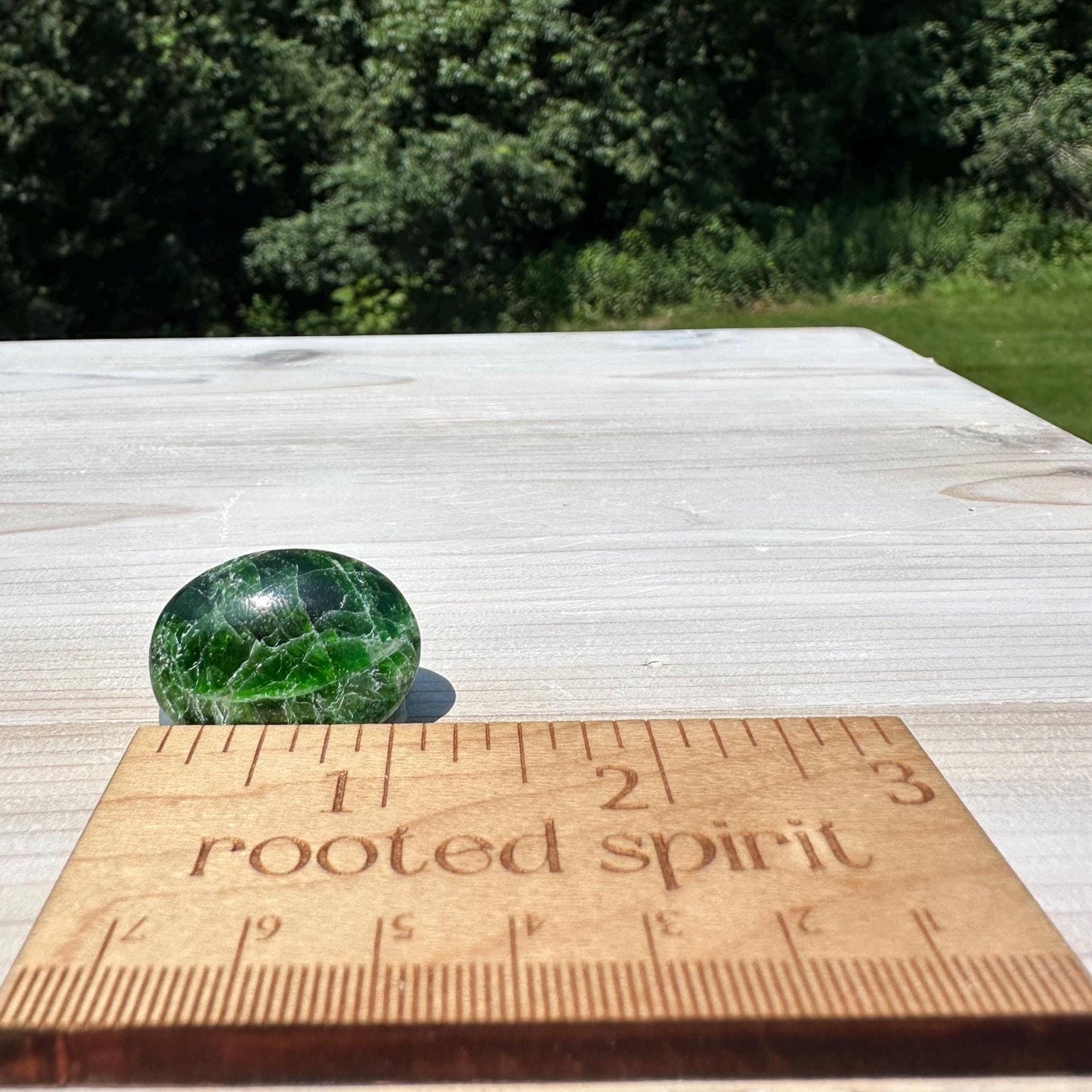 Stunning Chrome Diopside Mini Palm Stone - #1