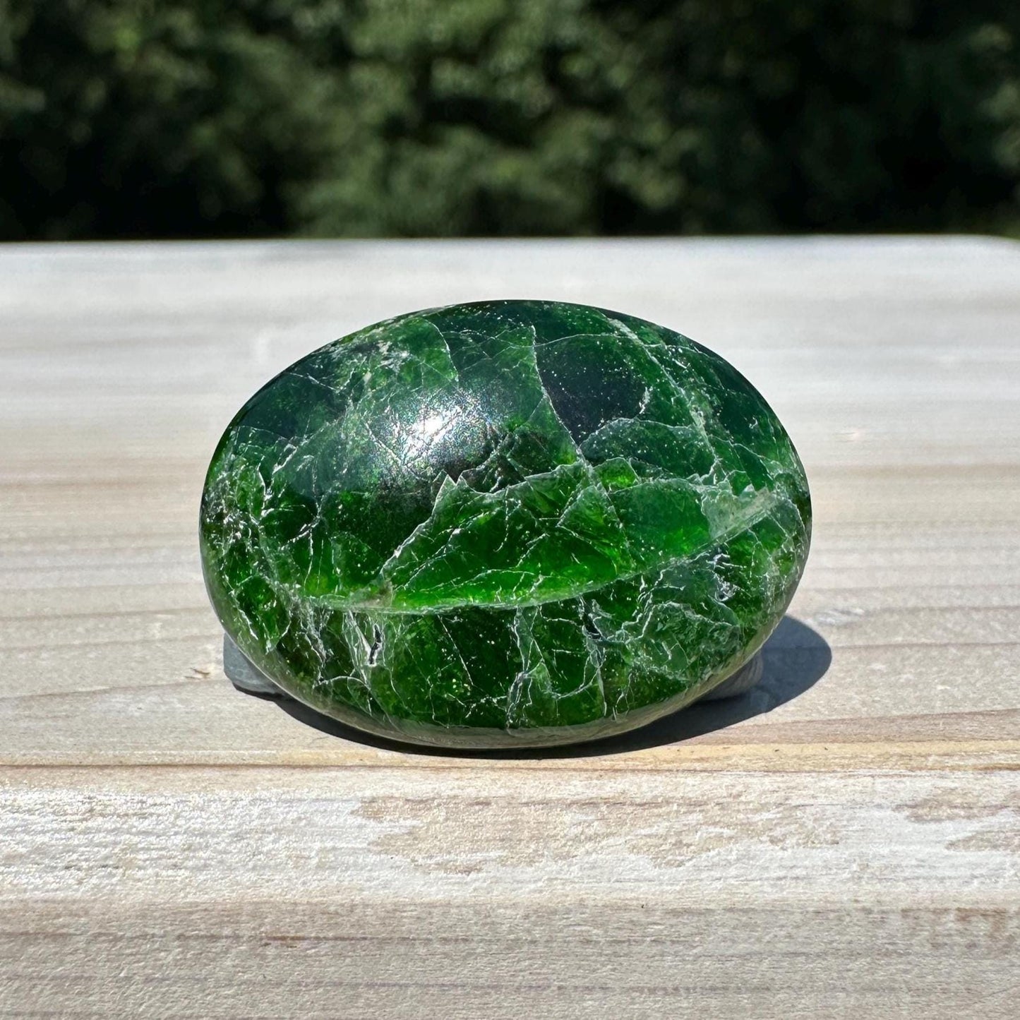 Stunning Chrome Diopside Mini Palm Stone - #1
