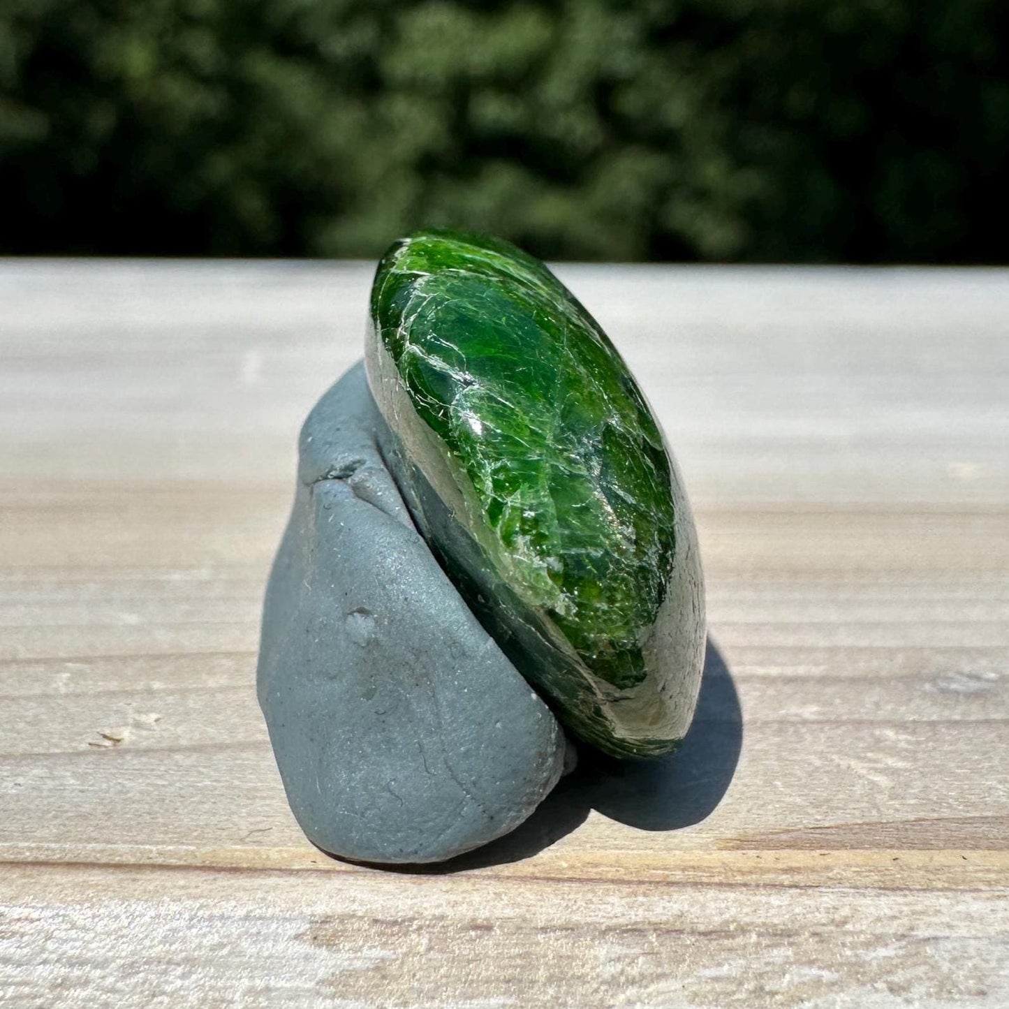 Stunning Chrome Diopside Mini Palm Stone - #1