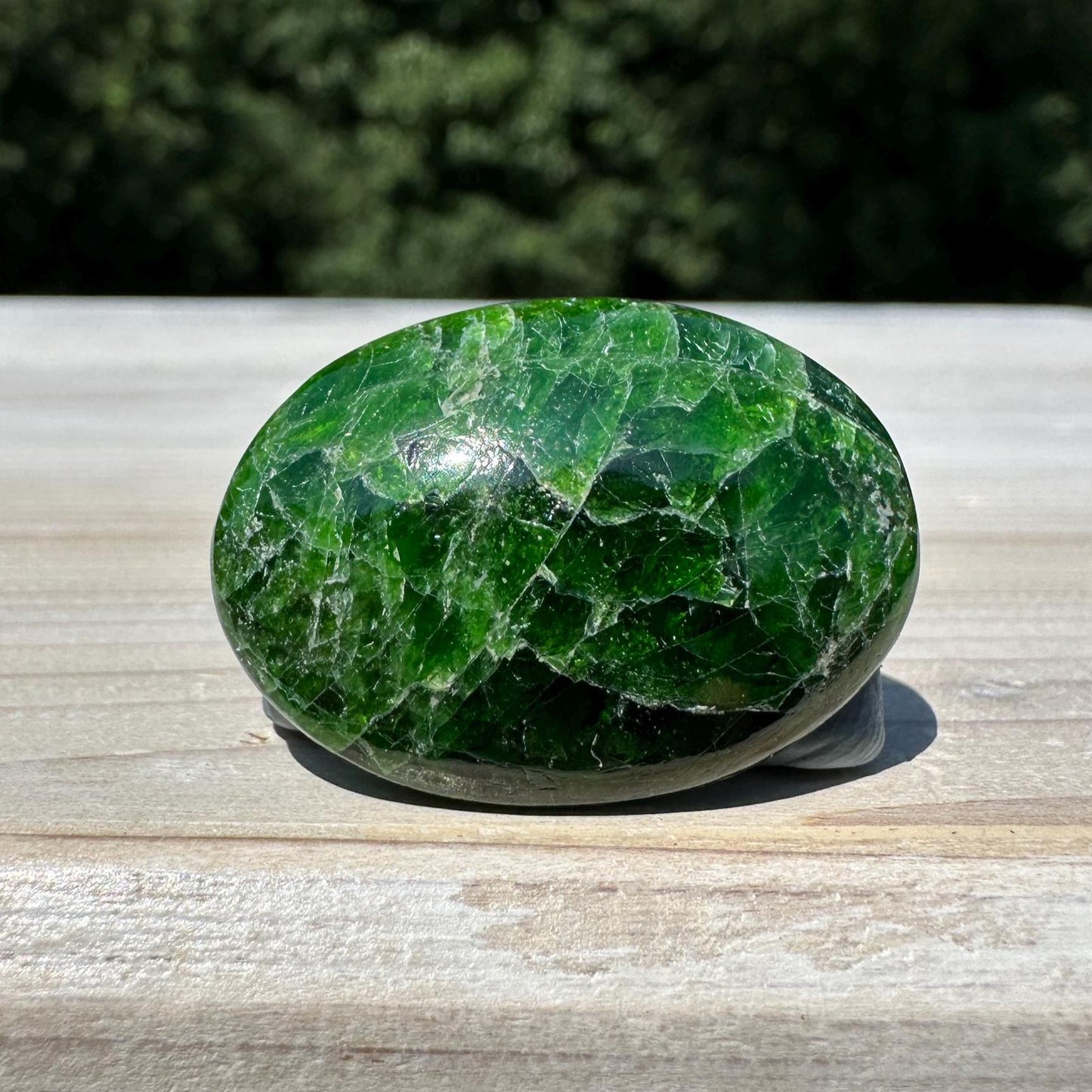 Stunning Chrome Diopside Mini Palm Stone - #1