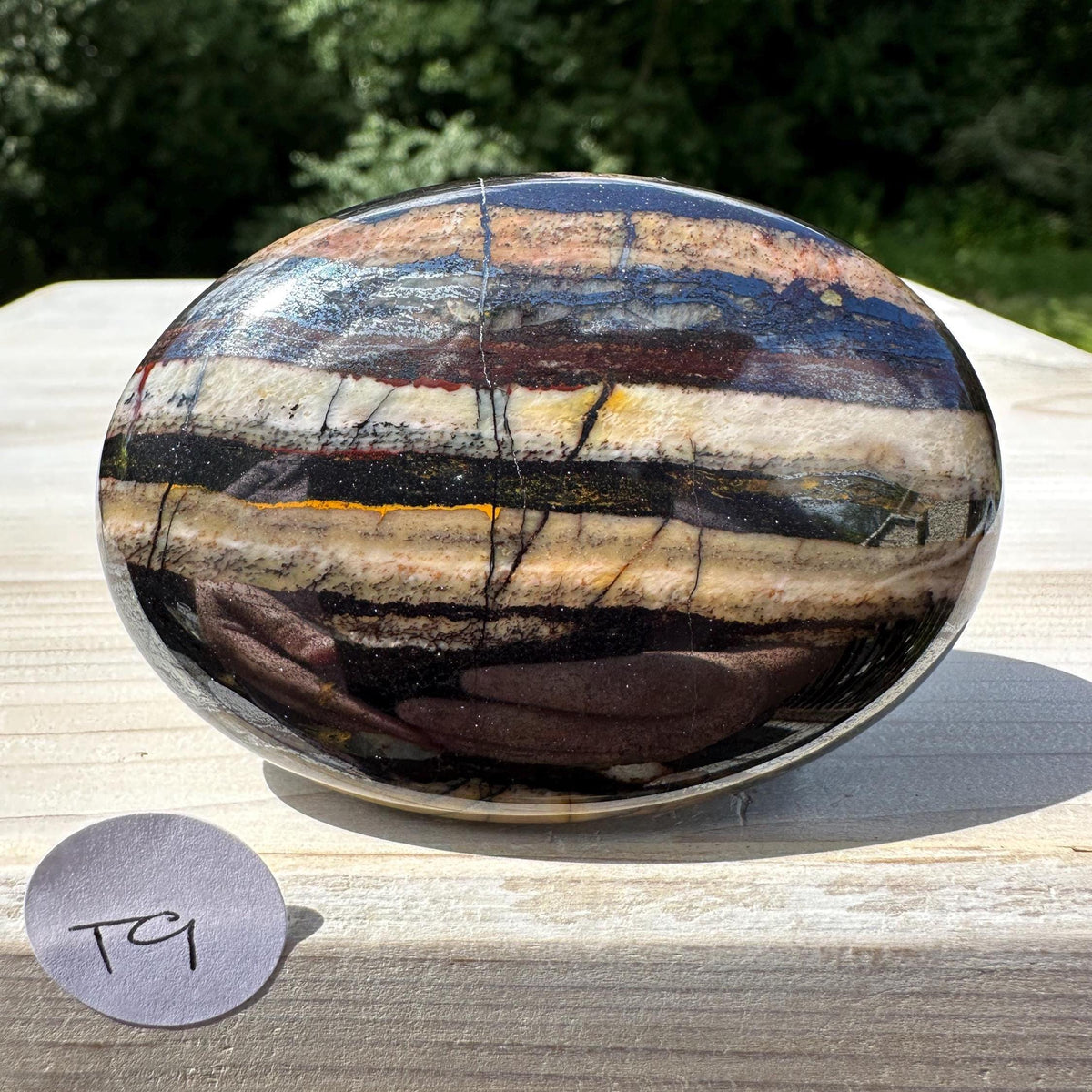 Beautiful Natural Tiger Iron Jasper Crystal Palm Stone - #9