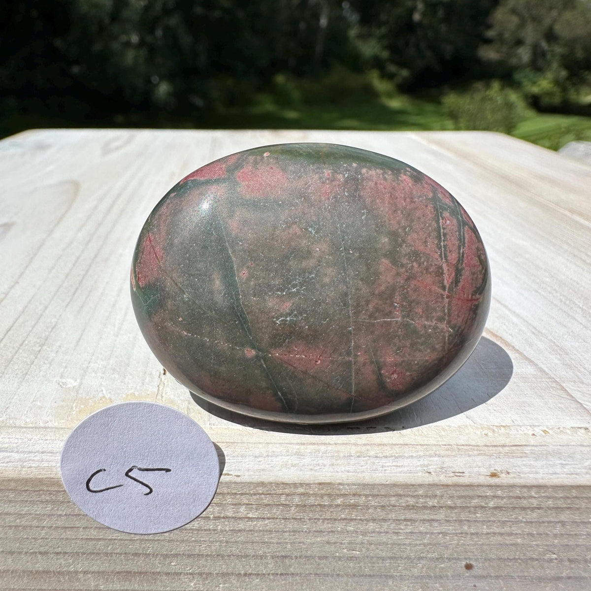 Gorgeous Cherry Creek Jasper Palm Stones - #5