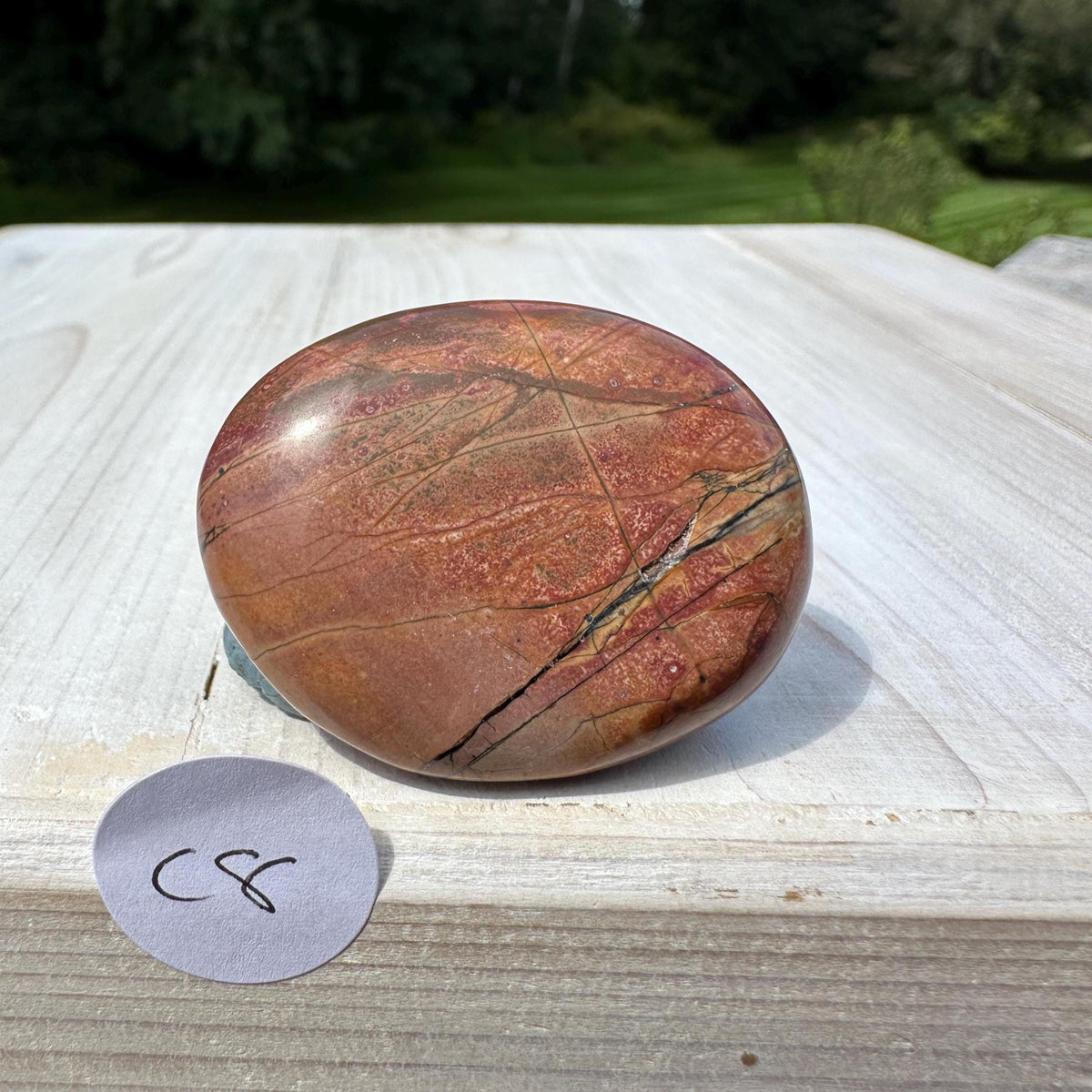Gorgeous Cherry Creek Jasper Palm Stones - #8