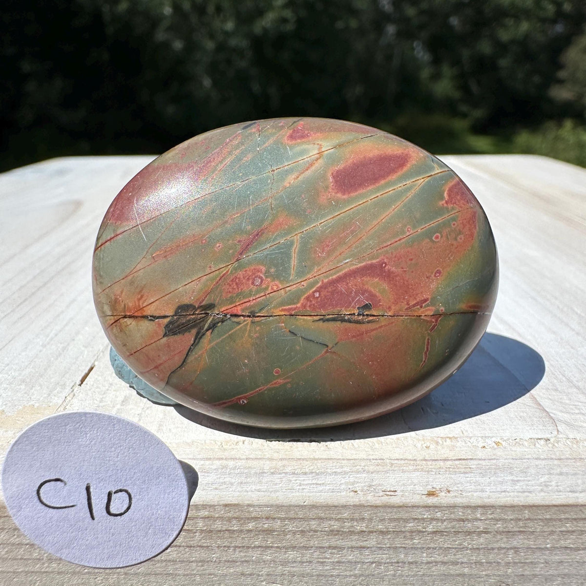 Gorgeous Cherry Creek Jasper Palm Stones - #10