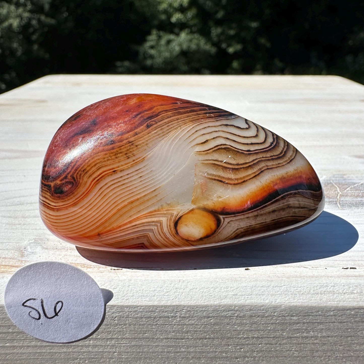 Gorgeous Sardonyx Freeform - #6