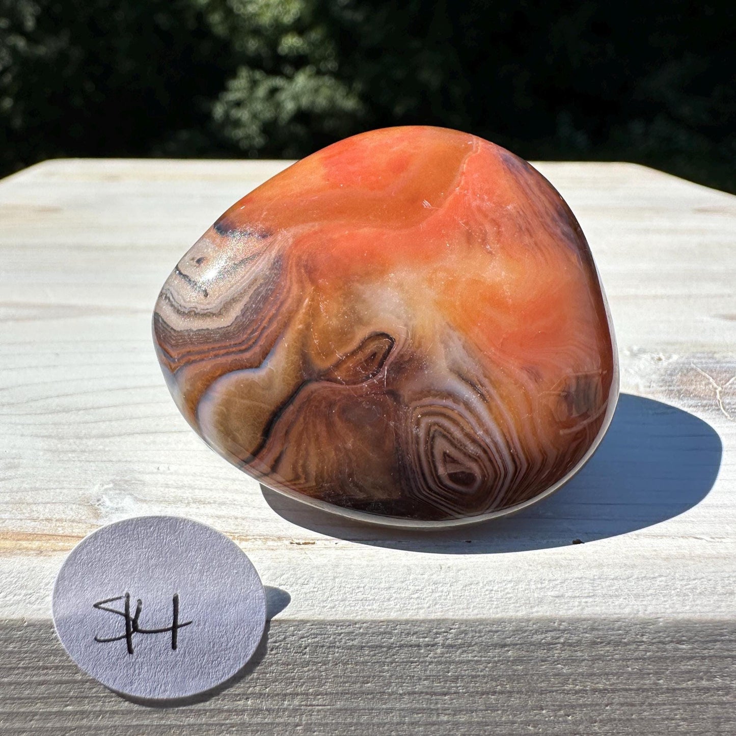 Gorgeous Sardonyx Freeform - #14