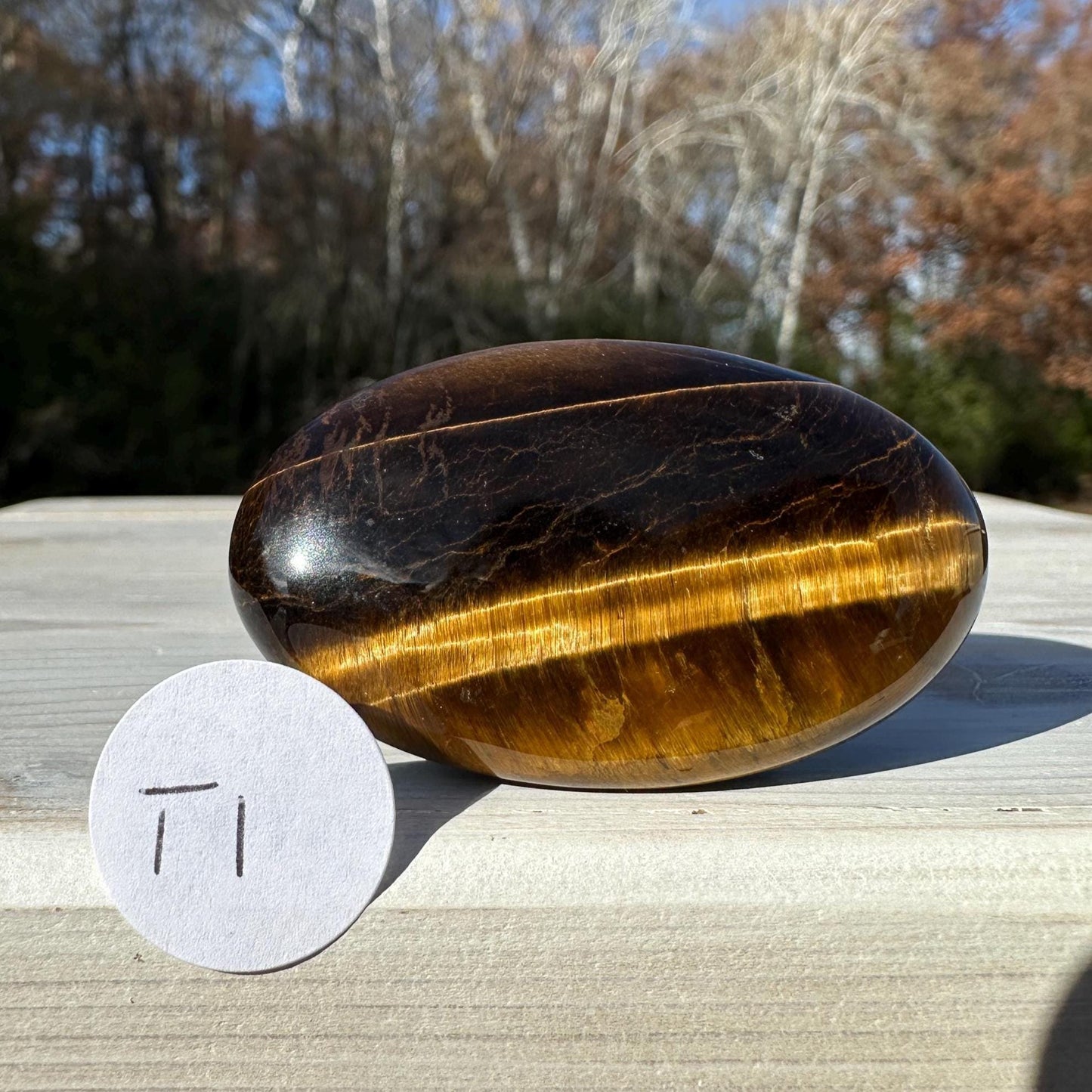 High Quality Natural Tiger Eye Palm Stone - #1