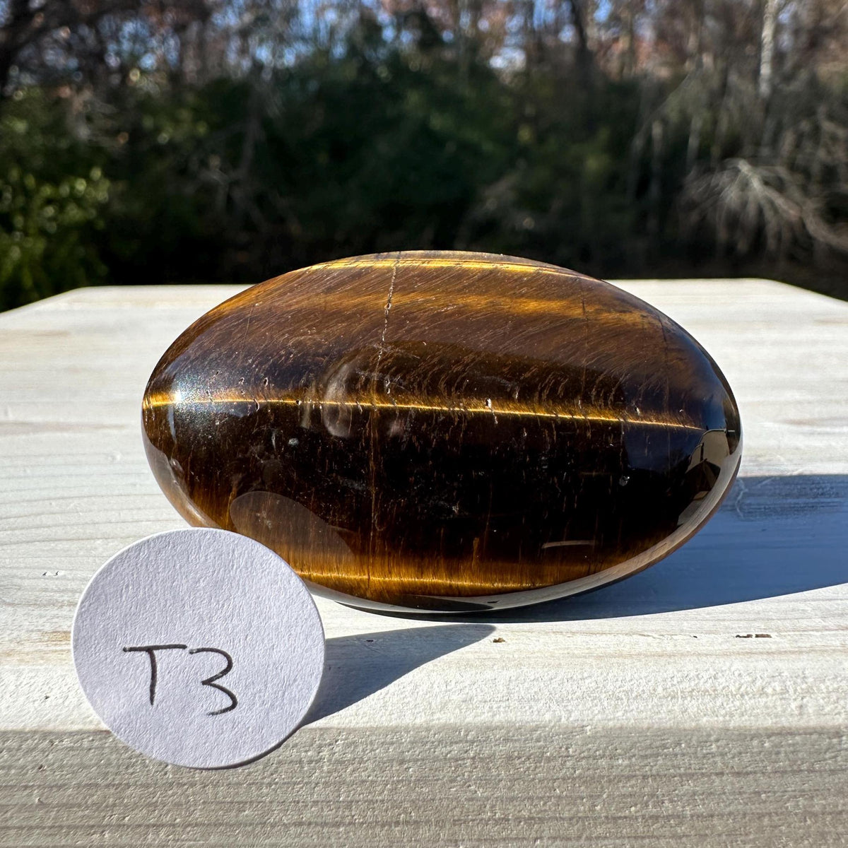 High Quality Natural Tiger Eye Palm Stone - #3