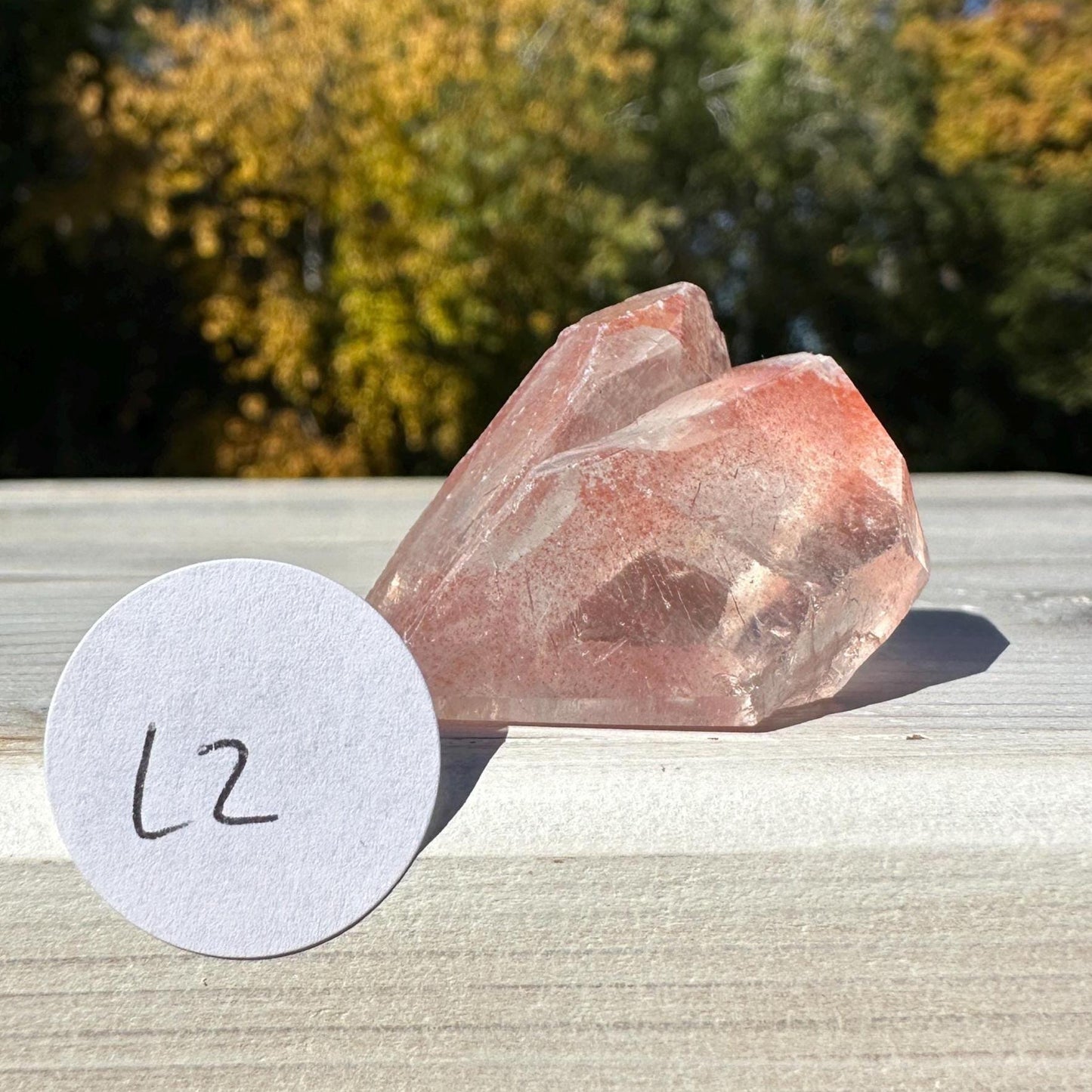 Incredible Small Raw Pink Lemurian Freeform from Brazil - #2