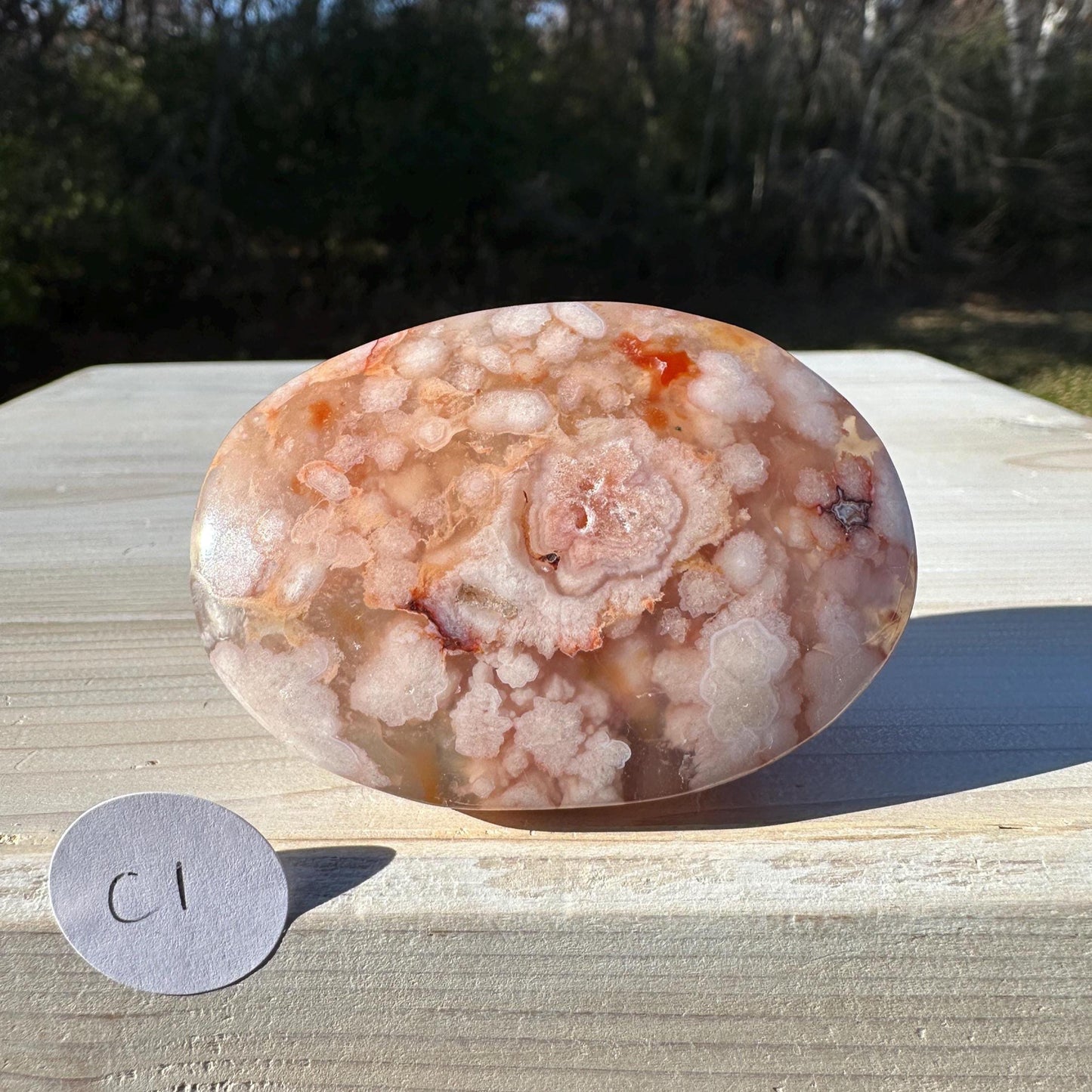 Beautiful Carnelian Flower Agate Palm Stone- #1