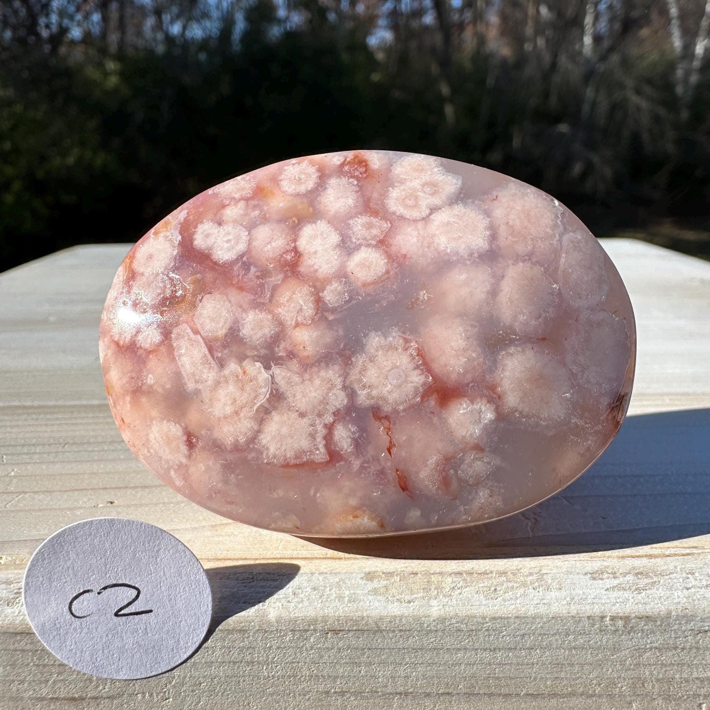 Beautiful Carnelian Flower Agate Palm Stone- #2