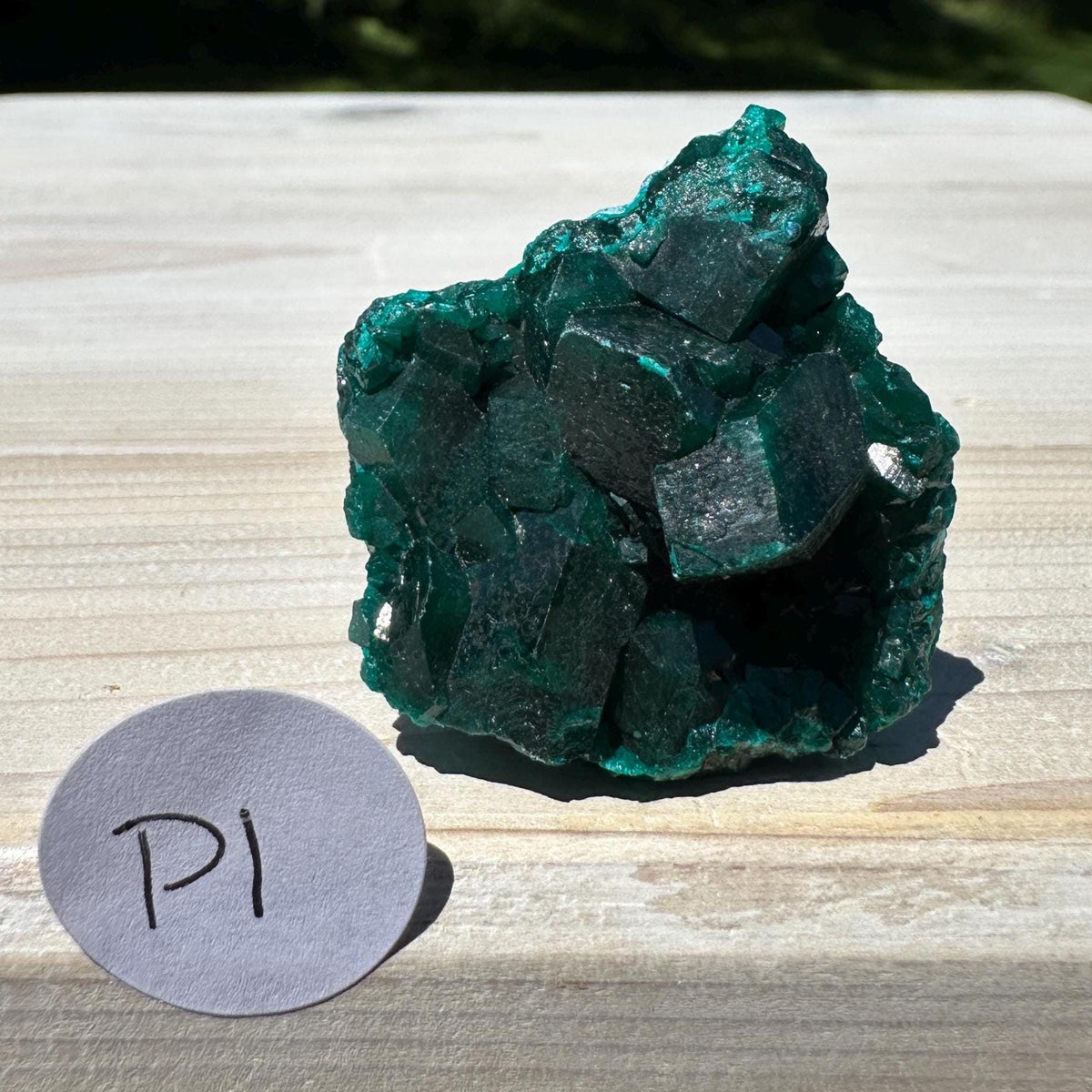 Dioptase Specimen Crystal Cluster - #1