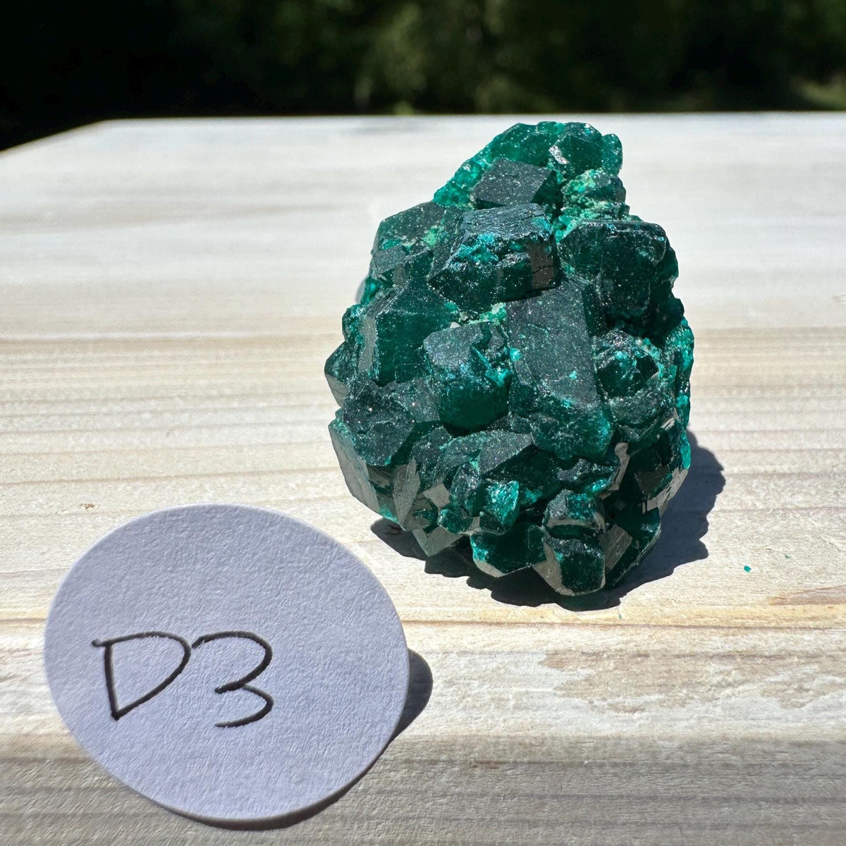 Dioptase Specimen Crystal Cluster - #3