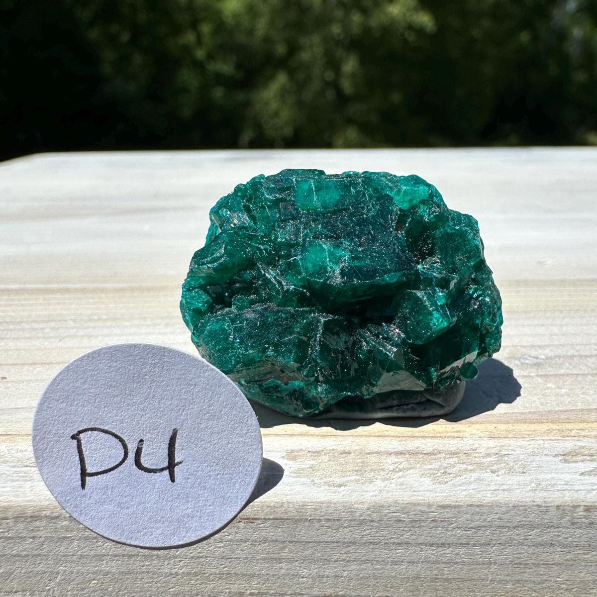 Dioptase Specimen Crystal Cluster - #4