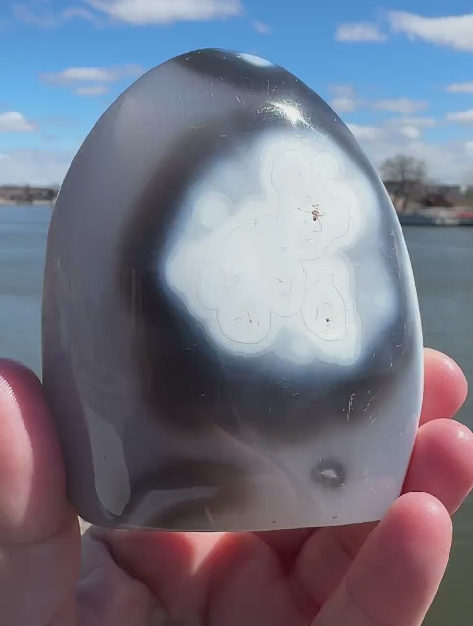 Stunning Orca Agate Freeform