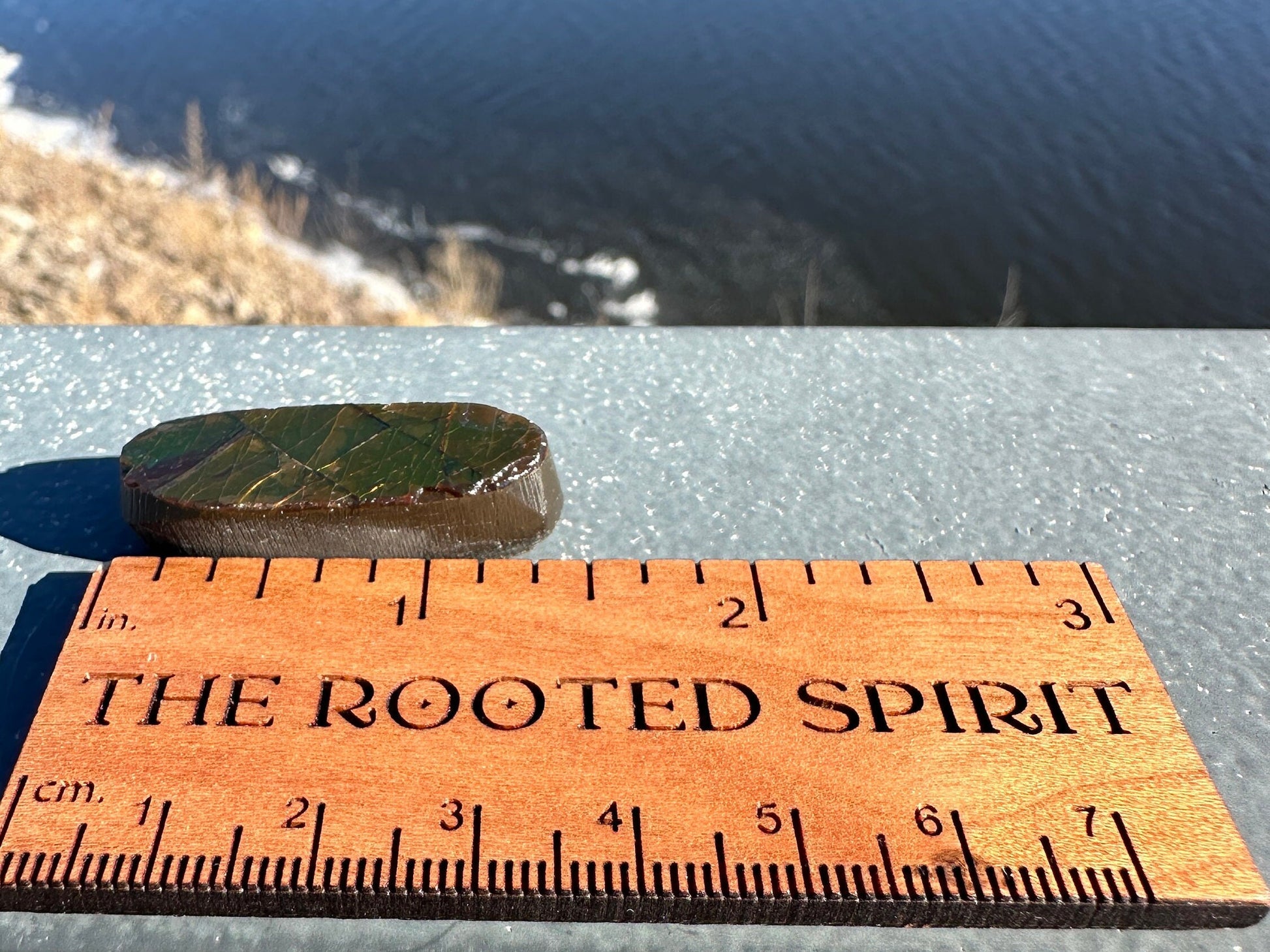 Amazing Natural Ammolite Specimen | Ammolite from Canada | Polished Ammolite | Fossilized Ammolite | Fossil | Rainbow Ammonite