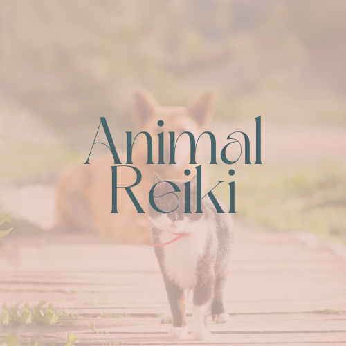 Distant Animal Reiki Session