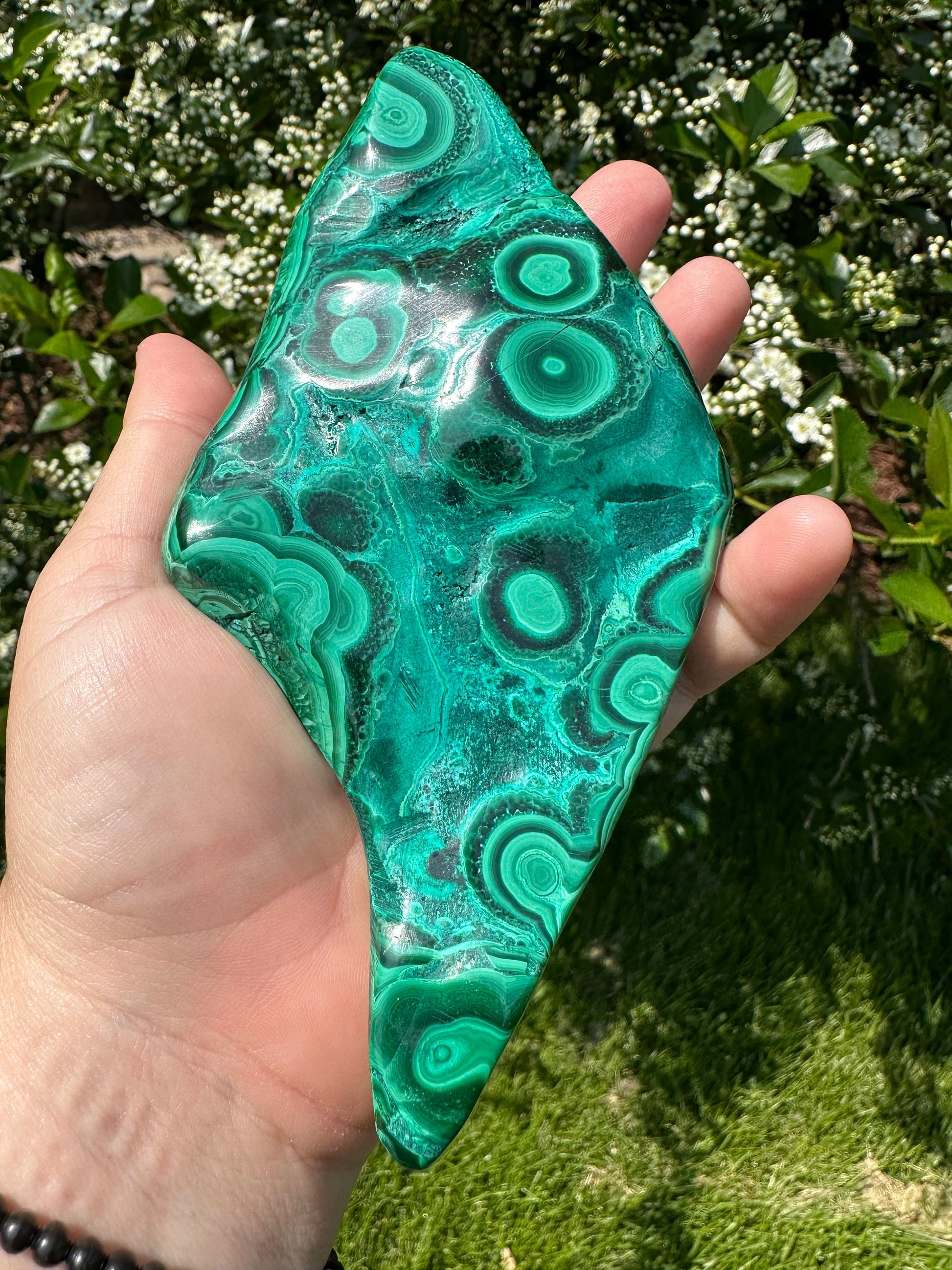 Malachite Chrysocolla Freeform | Manifestation | Transformation | Love | Protection | Abundance | Altar | Meditation