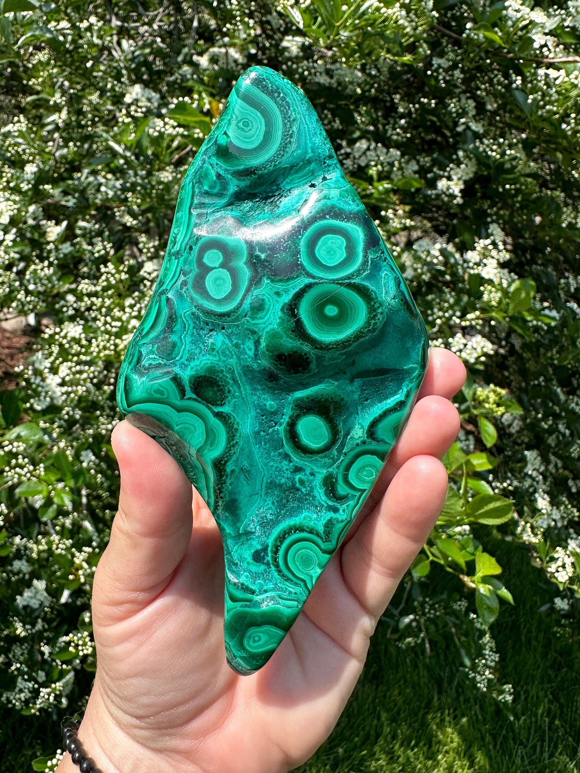 Malachite Chrysocolla Freeform | Manifestation | Transformation | Love | Protection | Abundance | Altar | Meditation