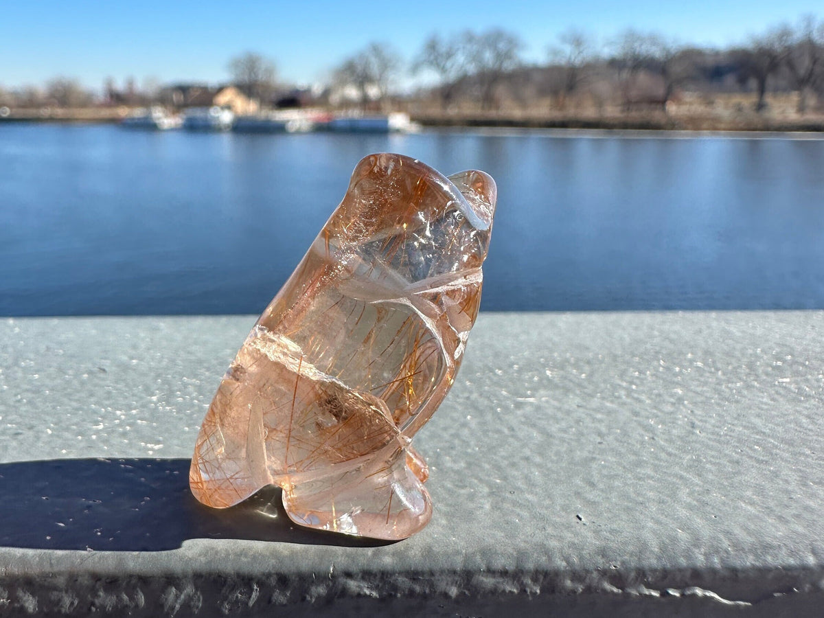 High Grade Golden Rutile Quartz Owl Carving from Brazil | Garden Quartz | Inclusion Quartz
