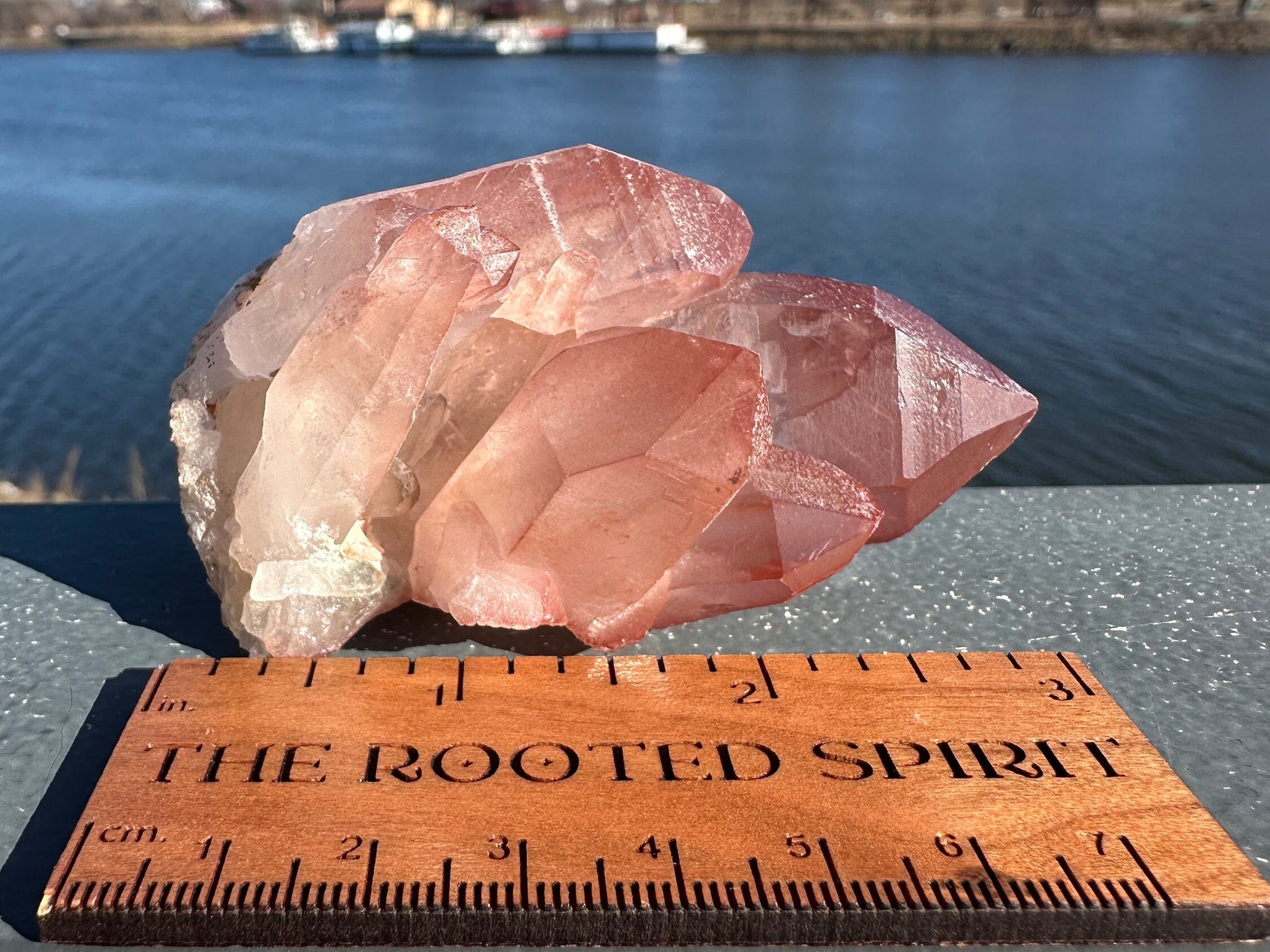 Incredible Raw Pink Lemurian Cluster | Rare Lemurian | Lemurian Point | Authentic Lemurian