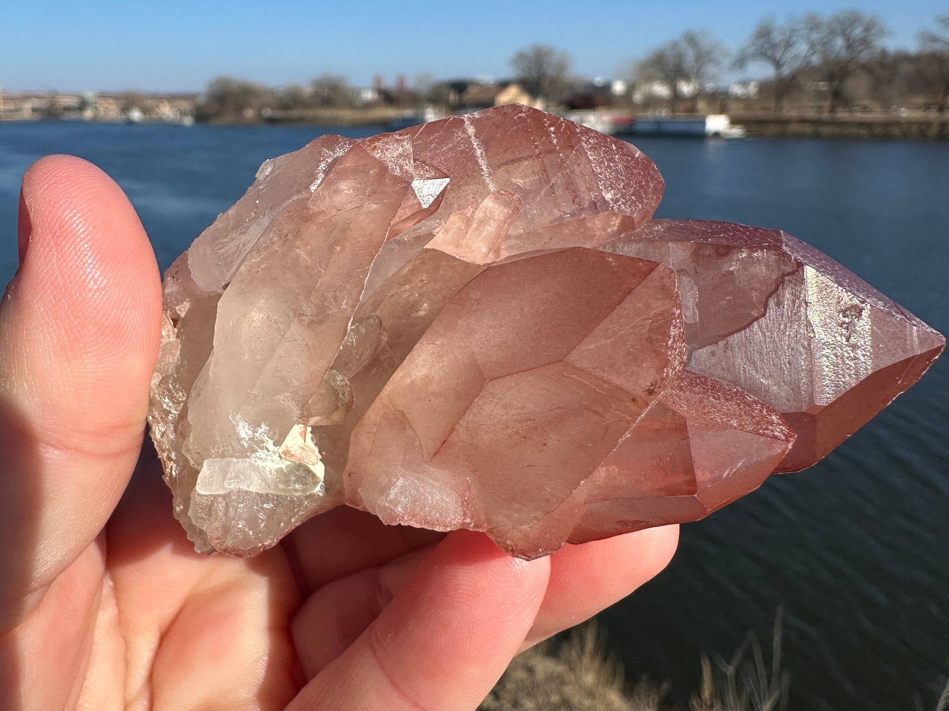 Incredible Raw Pink Lemurian Cluster | Rare Lemurian | Lemurian Point | Authentic Lemurian