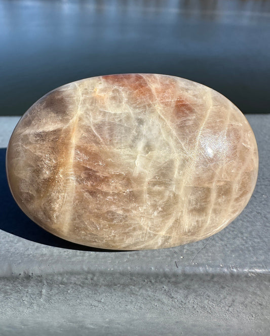 Rare Yin Yang Moonstone Palm Stone from India | Tucson Exclusive