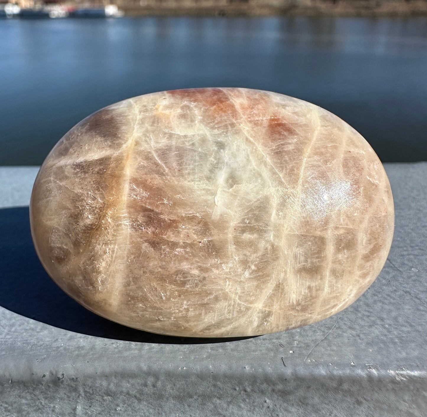 Rare Yin Yang Moonstone Palm Stone from India | Tucson Exclusive