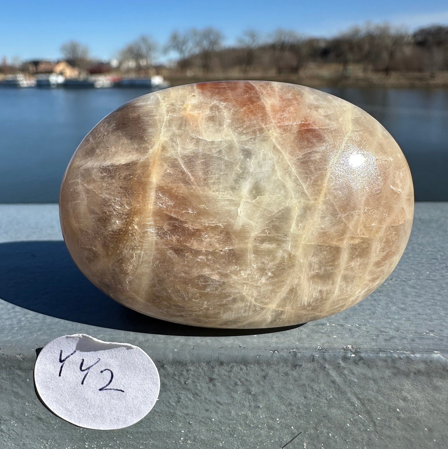 Rare Yin Yang Moonstone Palm Stone from India | Tucson Exclusive