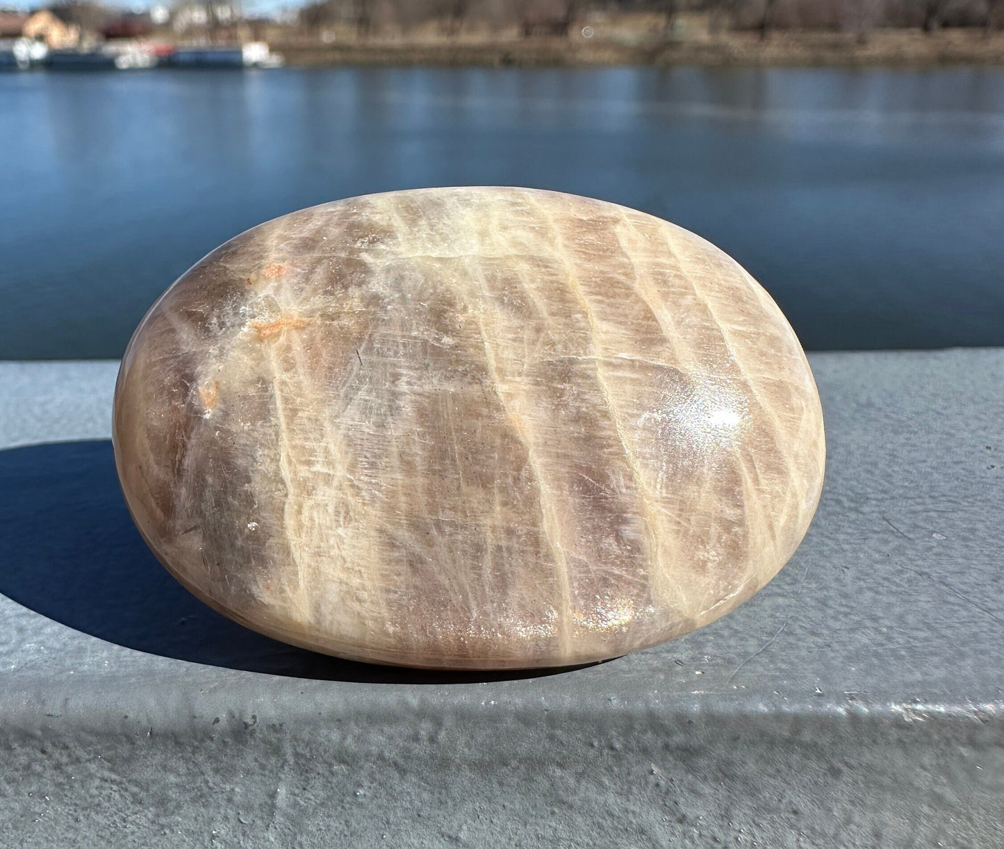 Rare Yin Yang Moonstone Palm Stone from India | Tucson Exclusive