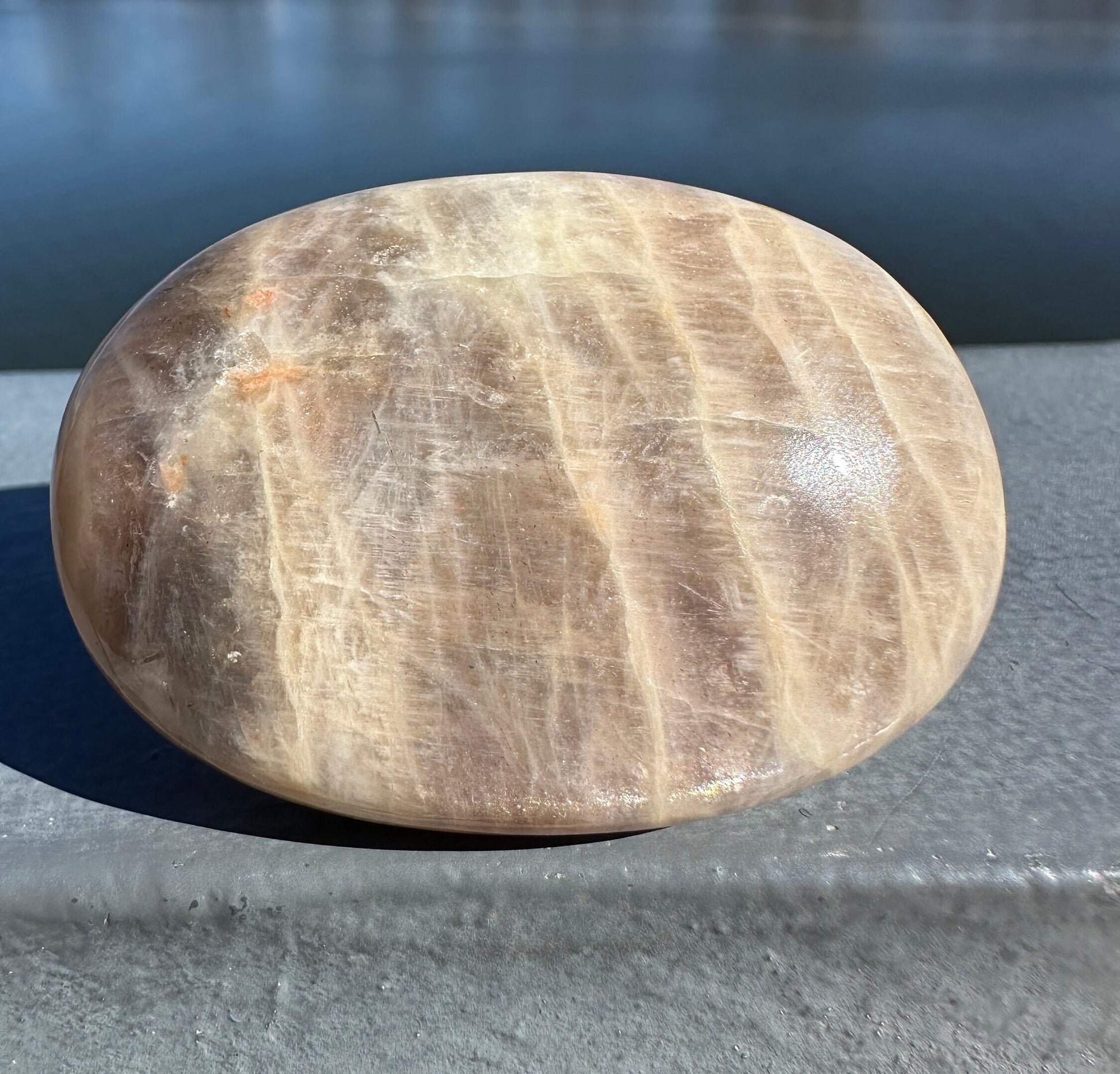 Rare Yin Yang Moonstone Palm Stone from India | Tucson Exclusive