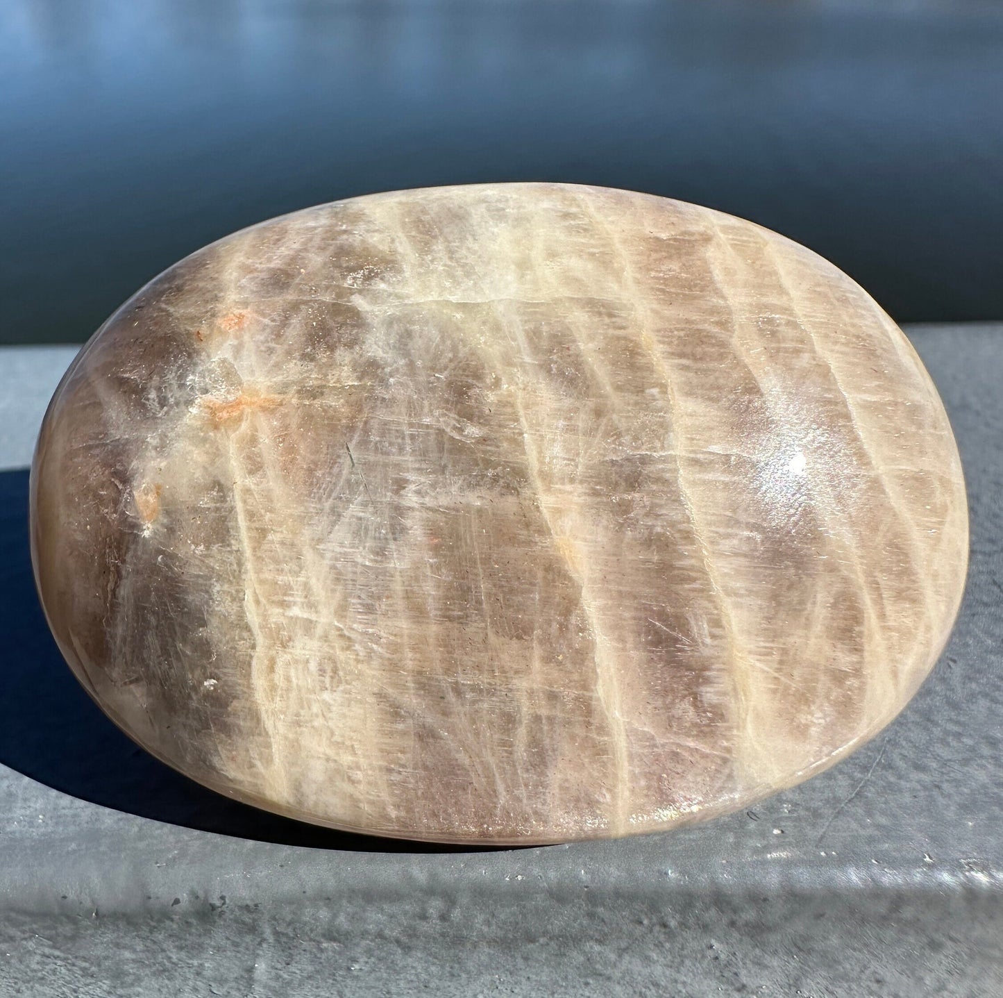 Rare Yin Yang Moonstone Palm Stone from India | Tucson Exclusive