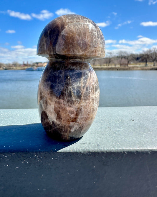 Stunning Black Moonstone Mushroom