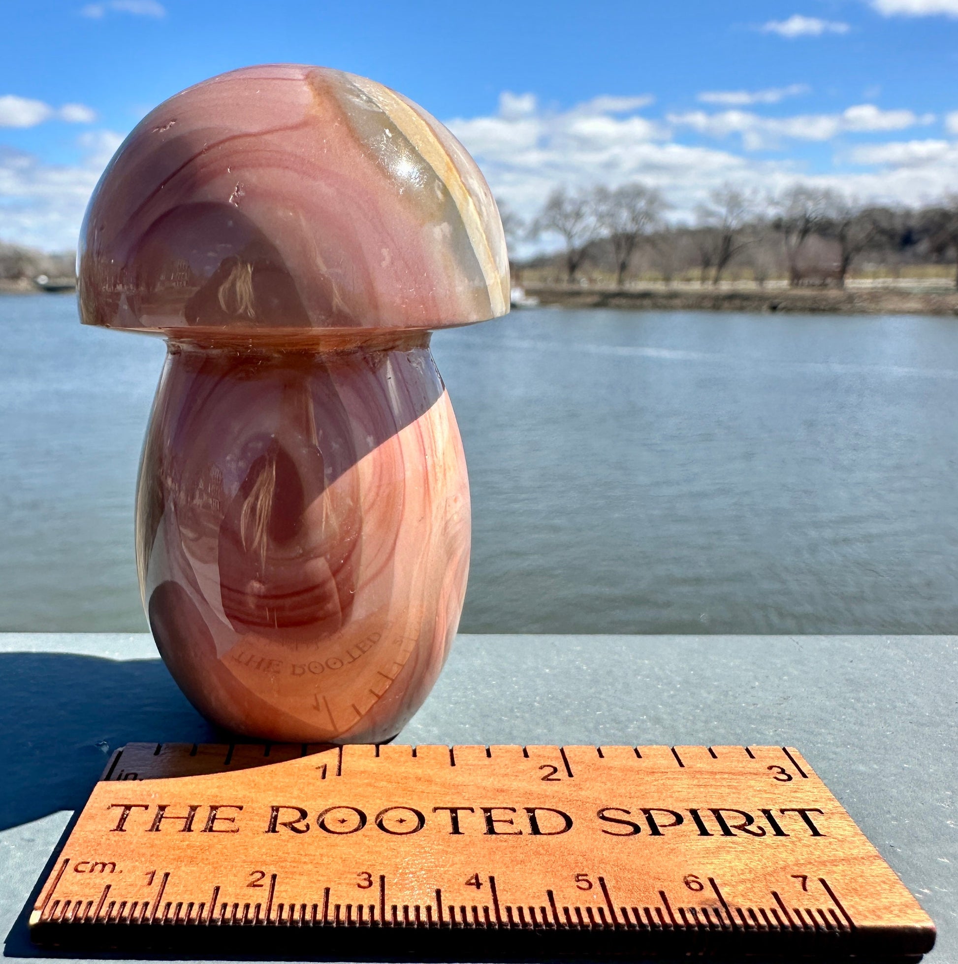 Dreamy Polychrome Jasper Mushroom Crystal Carving