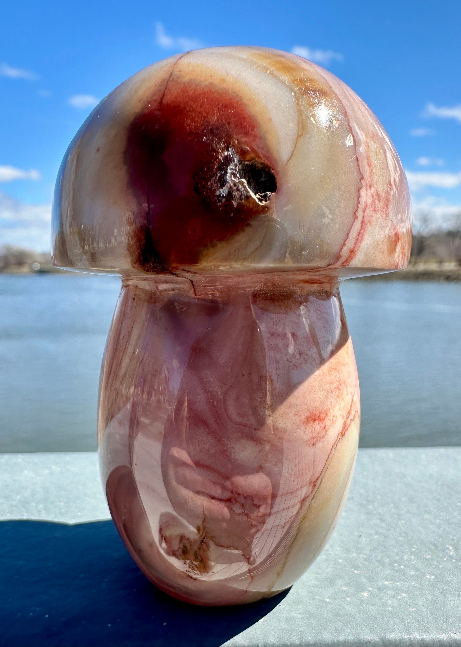 Dreamy Polychrome Jasper Mushroom Crystal Carving