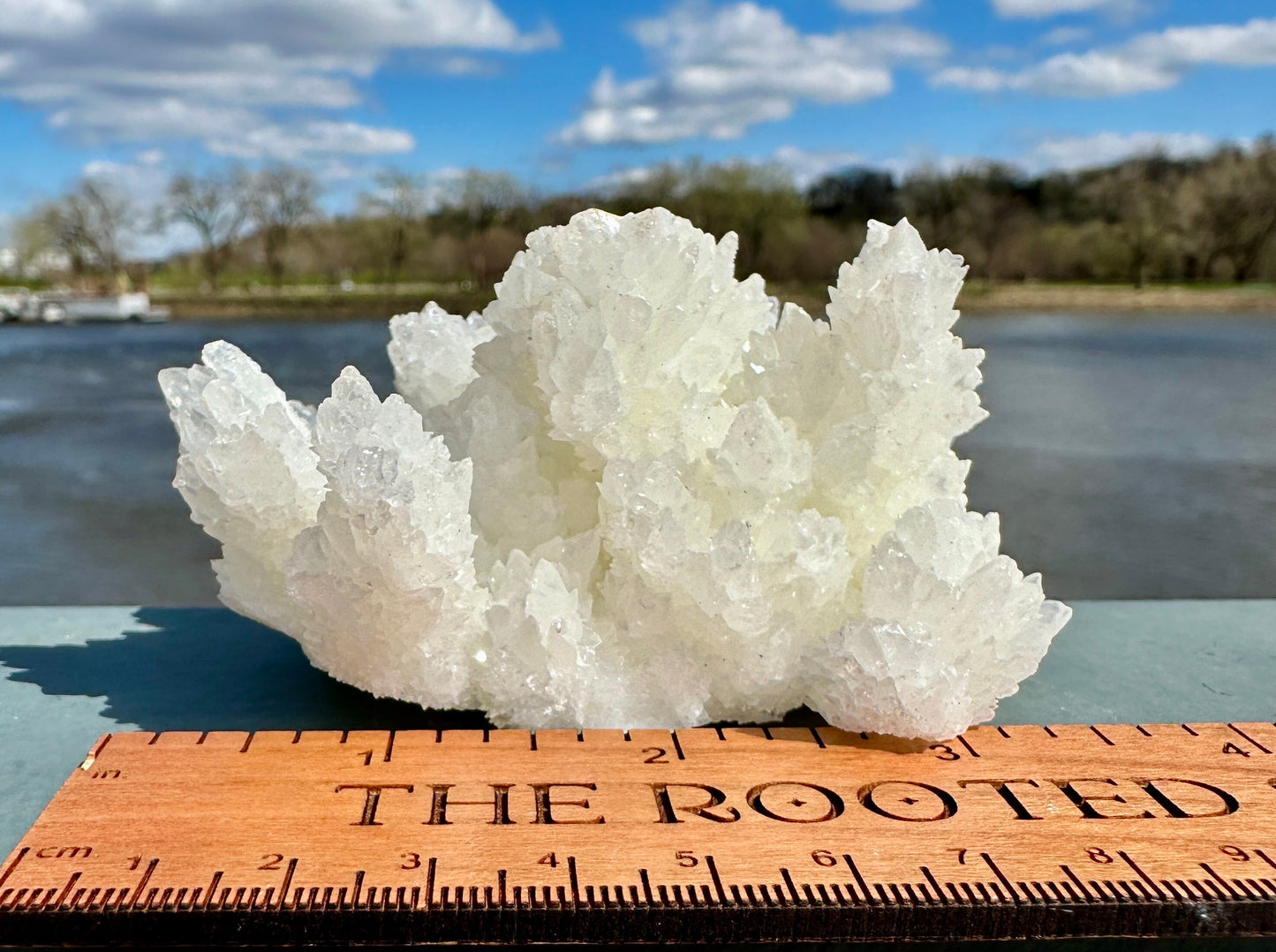 Beautiful White Raw Aragonite Cluster Natural Crystal from Mexico