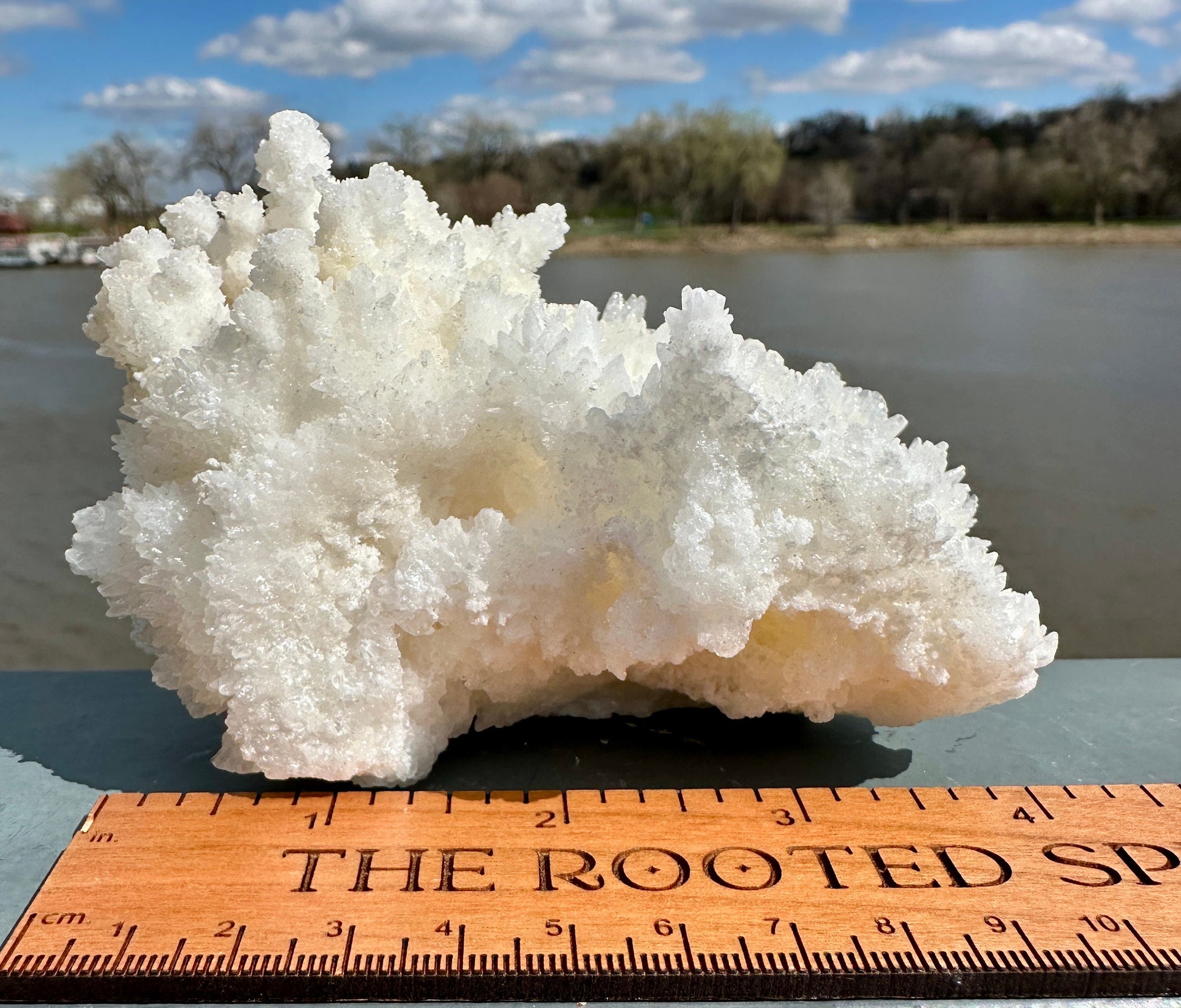 Beautiful White Raw Aragonite Cluster Natural Crystal from Mexico