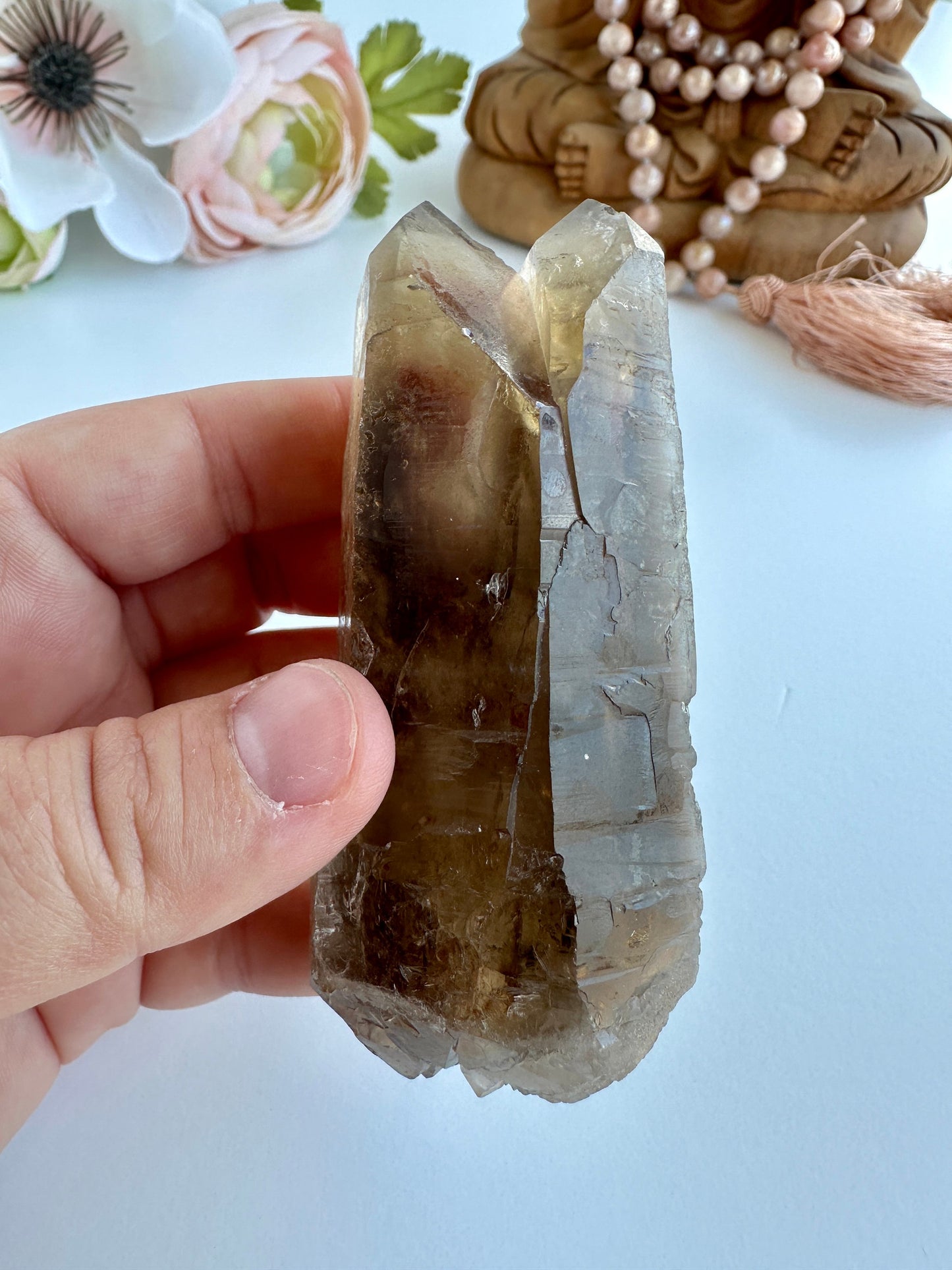 Special Raw Twin Smoky Lemurian Points | Rare Lemurian | Lemurian Point | Authentic Lemurian