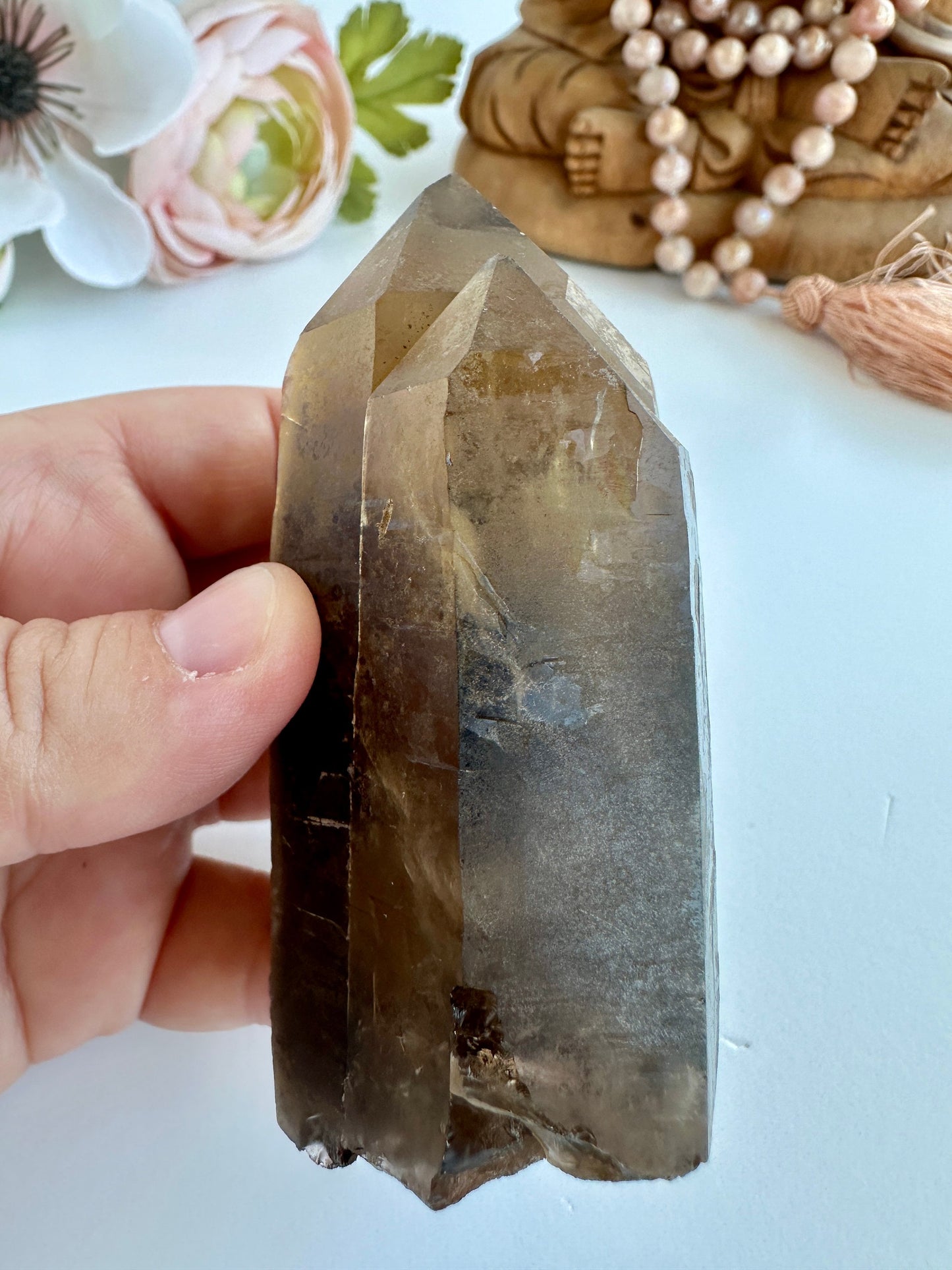 Special Raw Twin Smoky Lemurian Points | Rare Lemurian | Lemurian Point | Authentic Lemurian