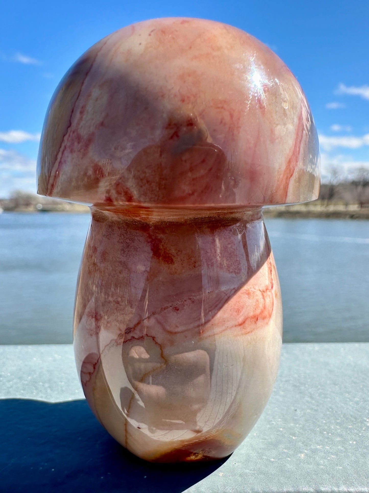 Dreamy Polychrome Jasper Mushroom Crystal Carving