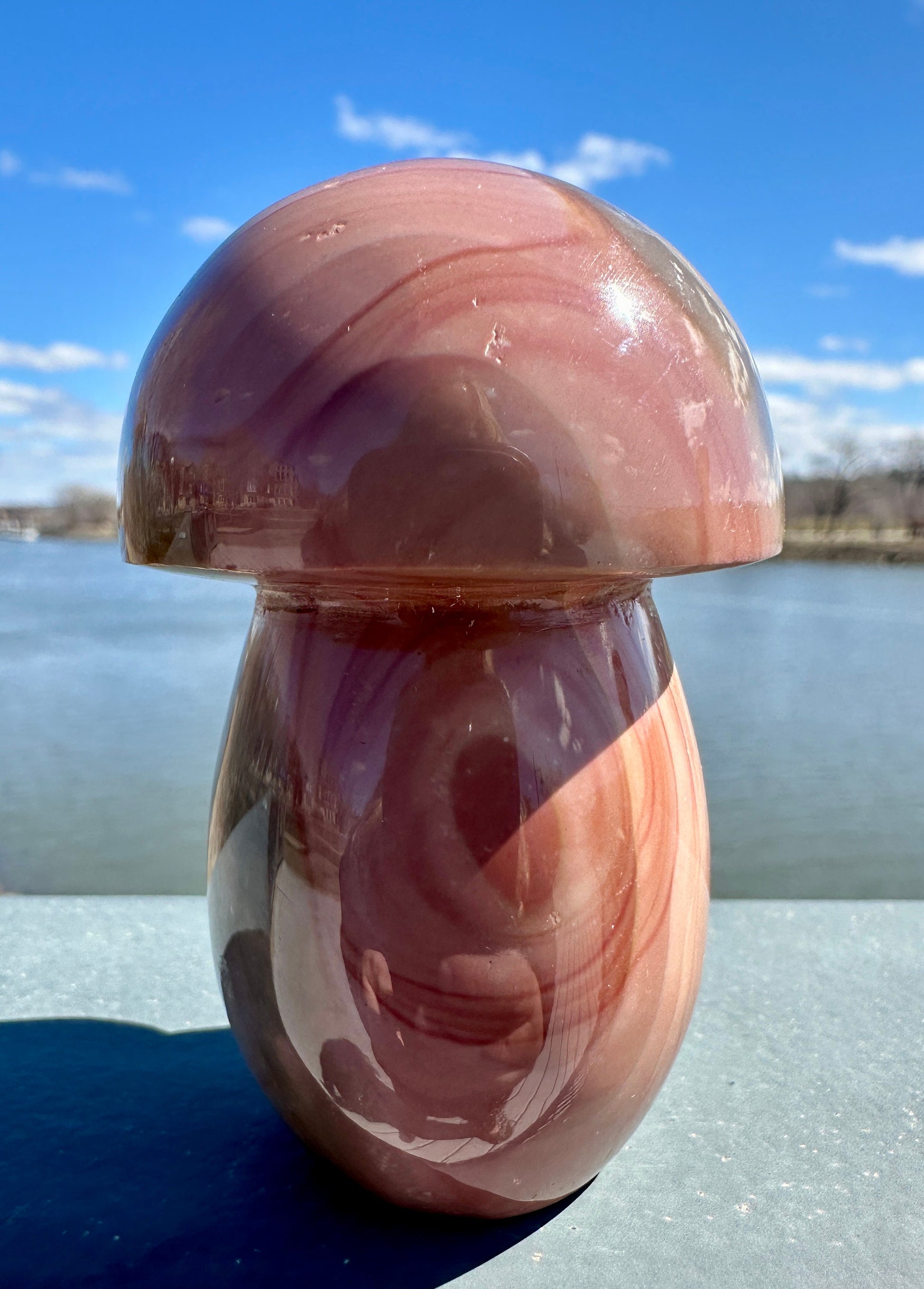 Dreamy Polychrome Jasper Mushroom Crystal Carving