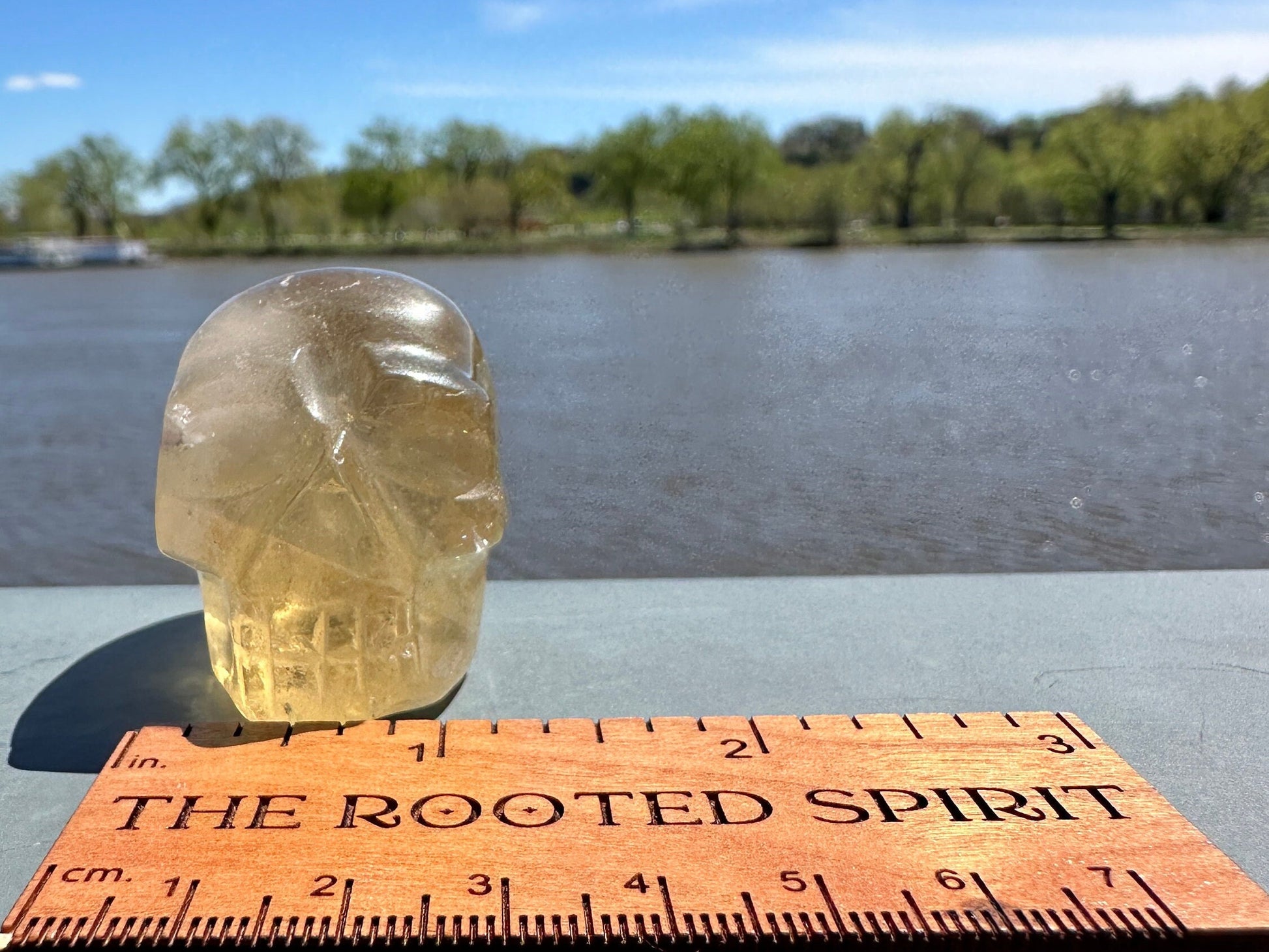 Citrine Skull Carving from Brazil